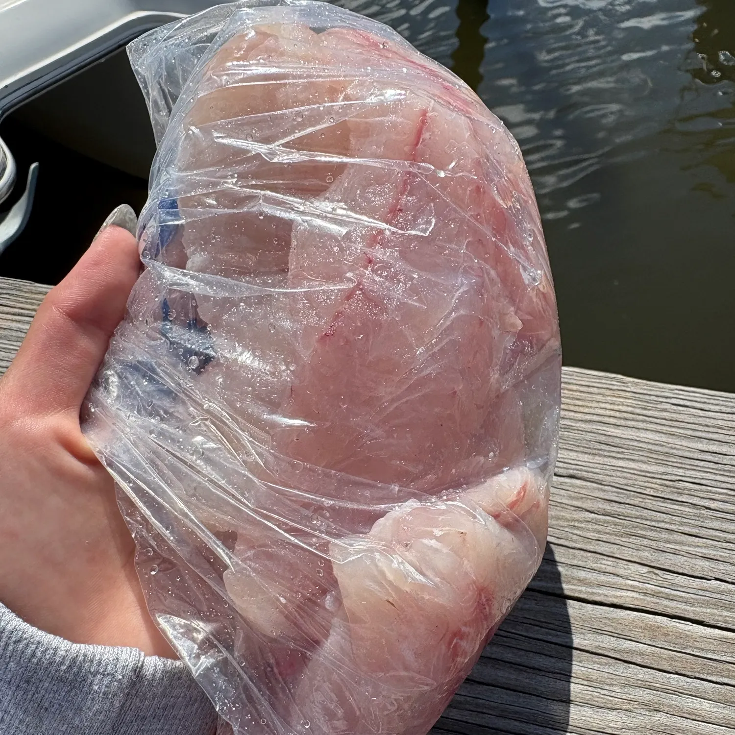 Fish caught on Fishbrain