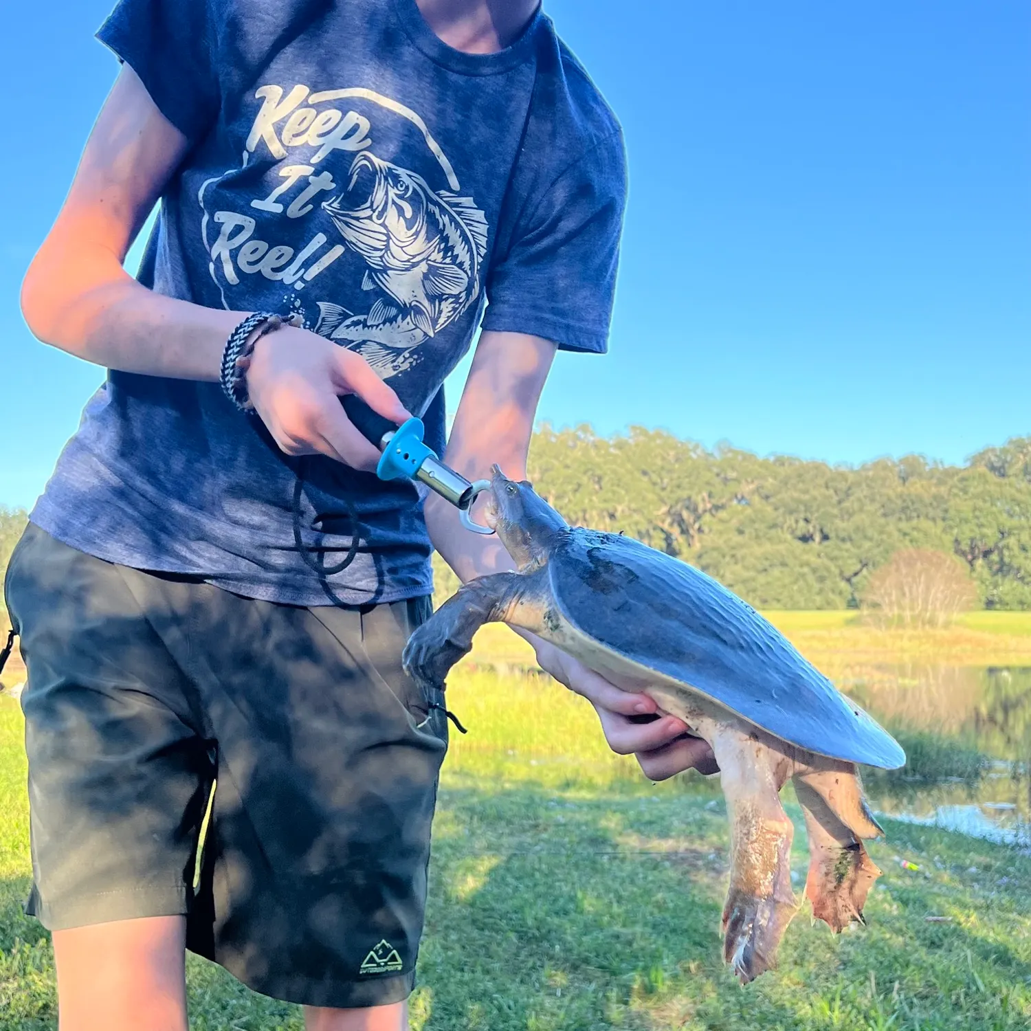 The most recent Florida softshell turtle catches on Fishbrain