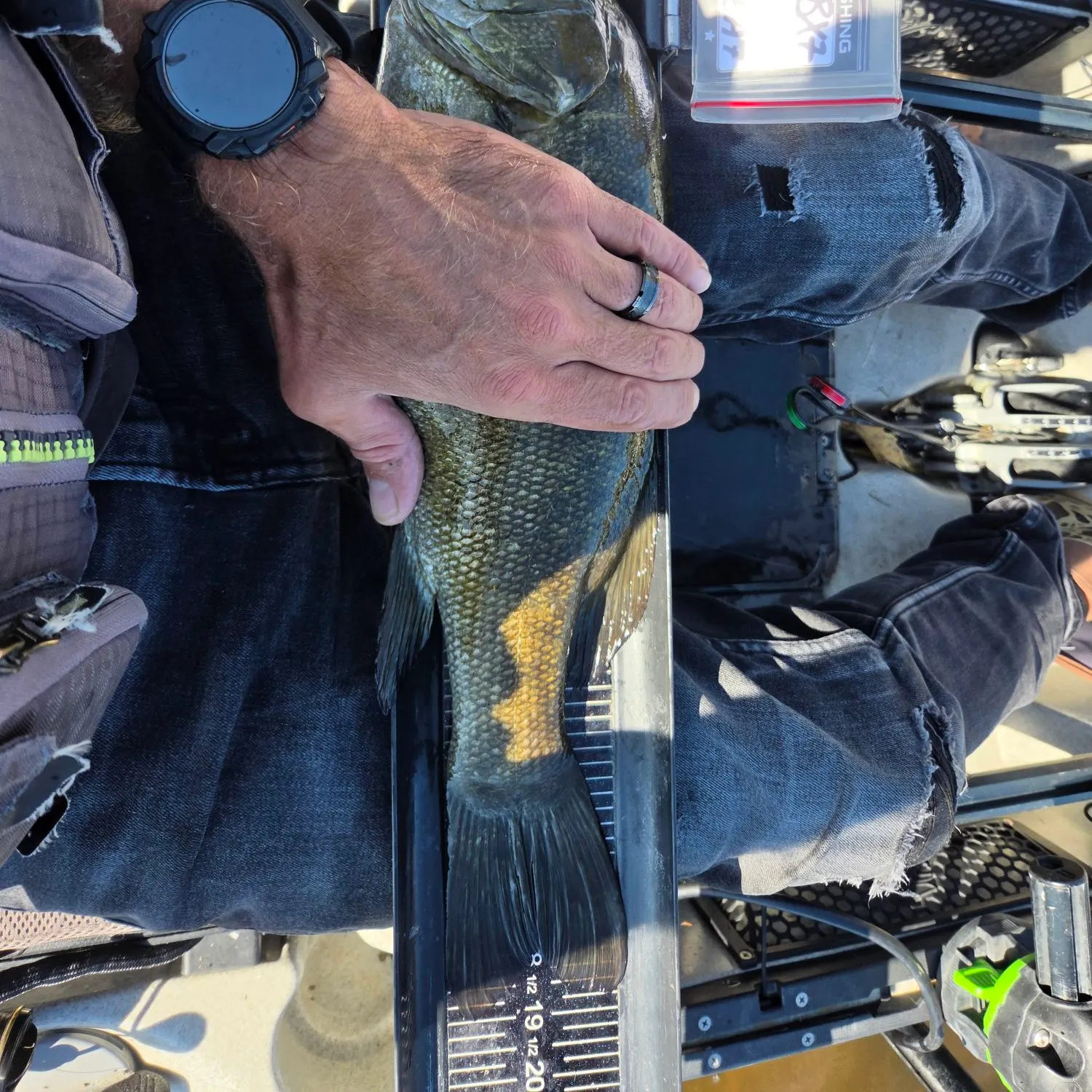Smallmouth bass caught on Fishbrain