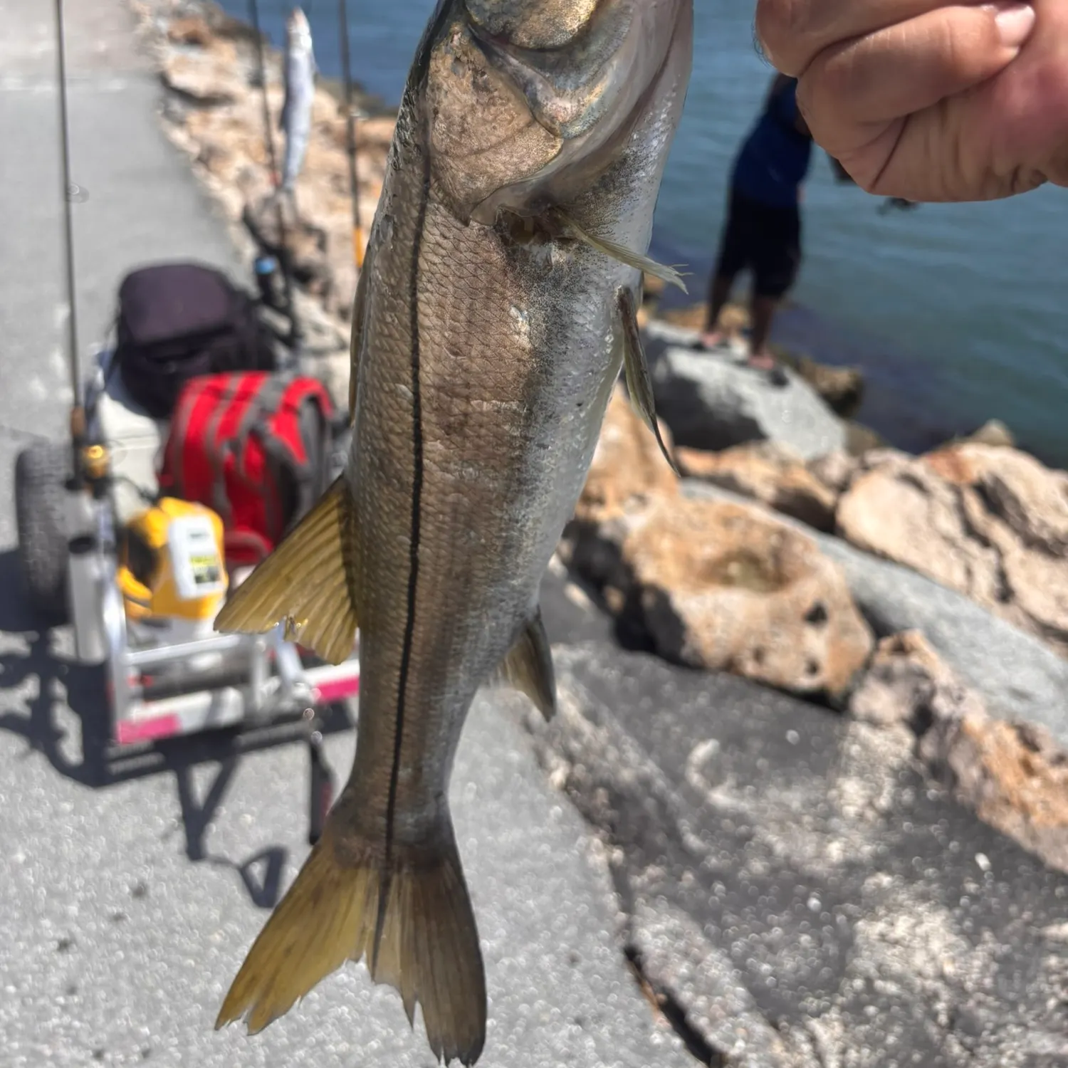 catch