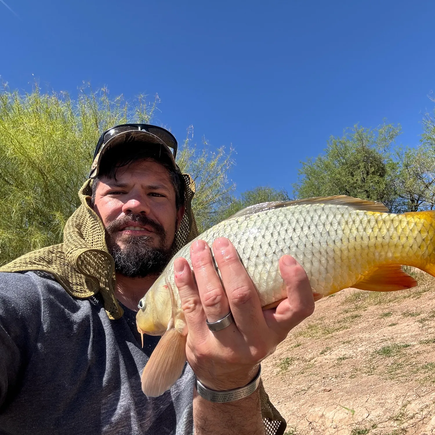 The most recent Ghost carp catches on Fishbrain