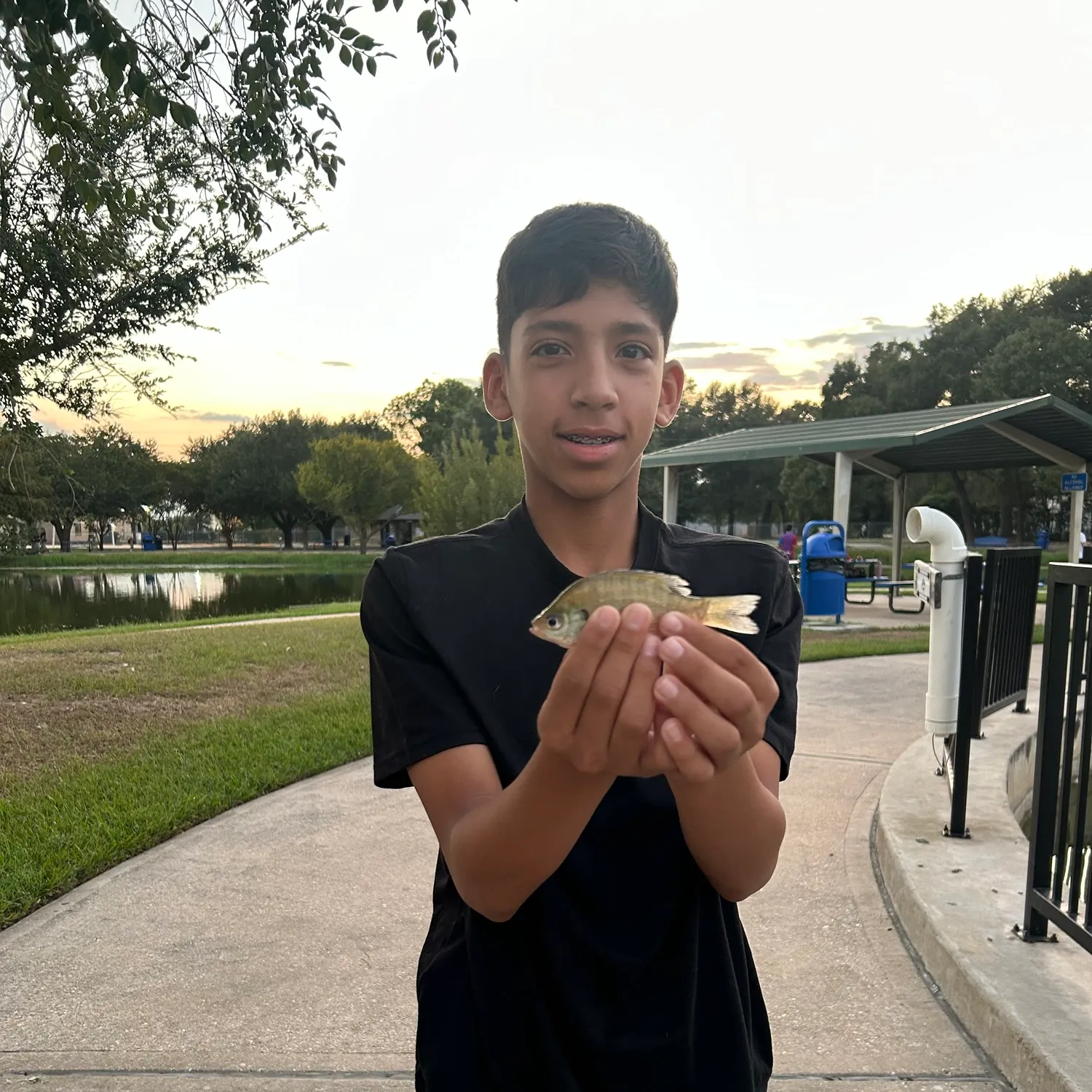 Bluegill caught on Fishbrain