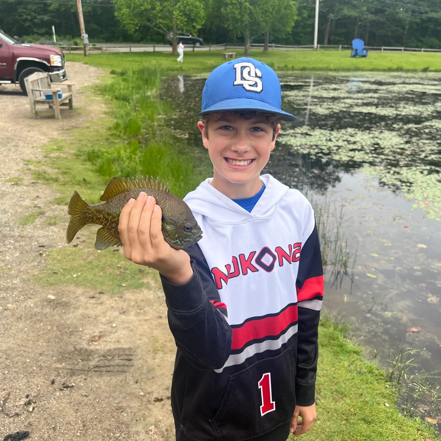Pumpkinseed caught on Fishbrain
