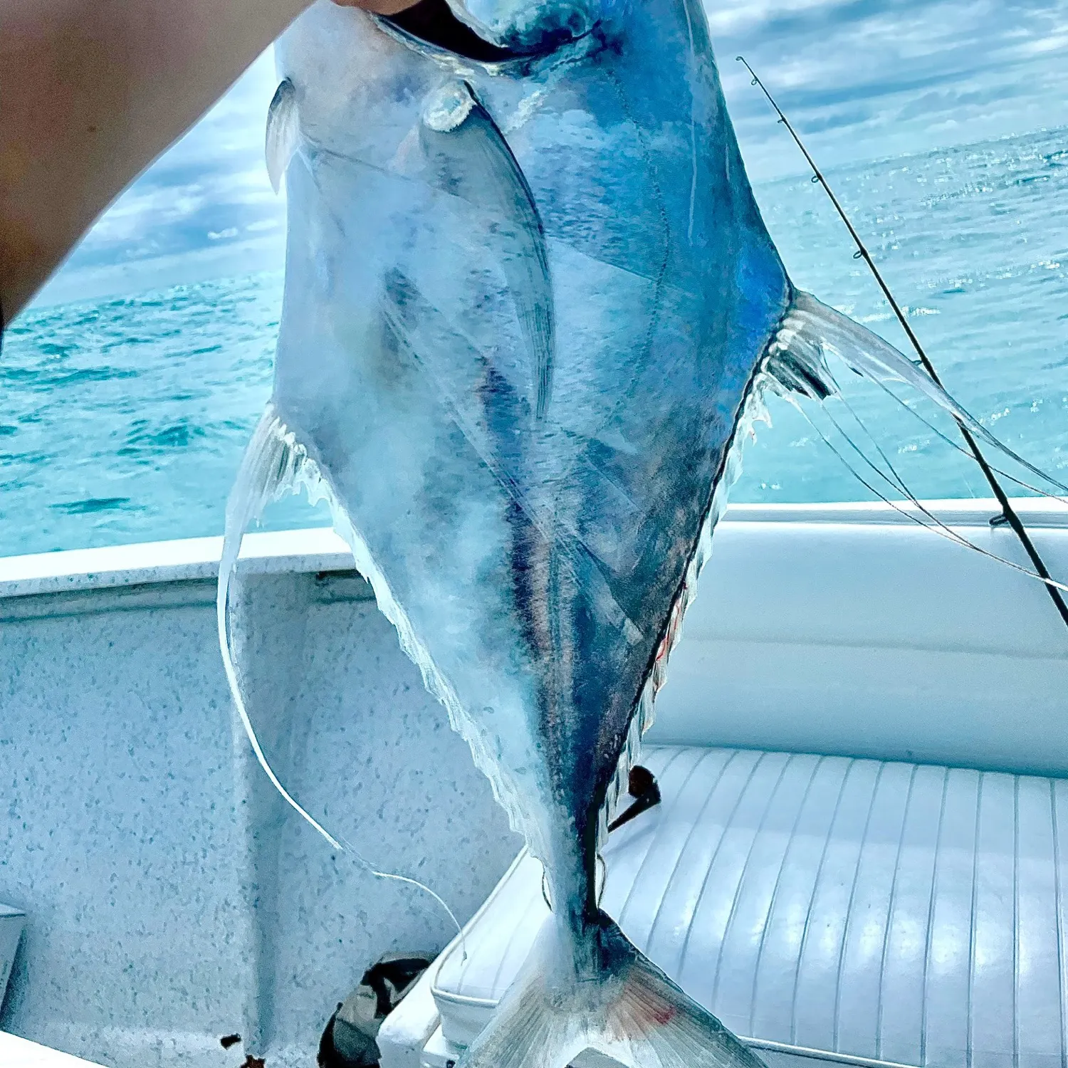 The most popular recent African pompano catch on Fishbrain