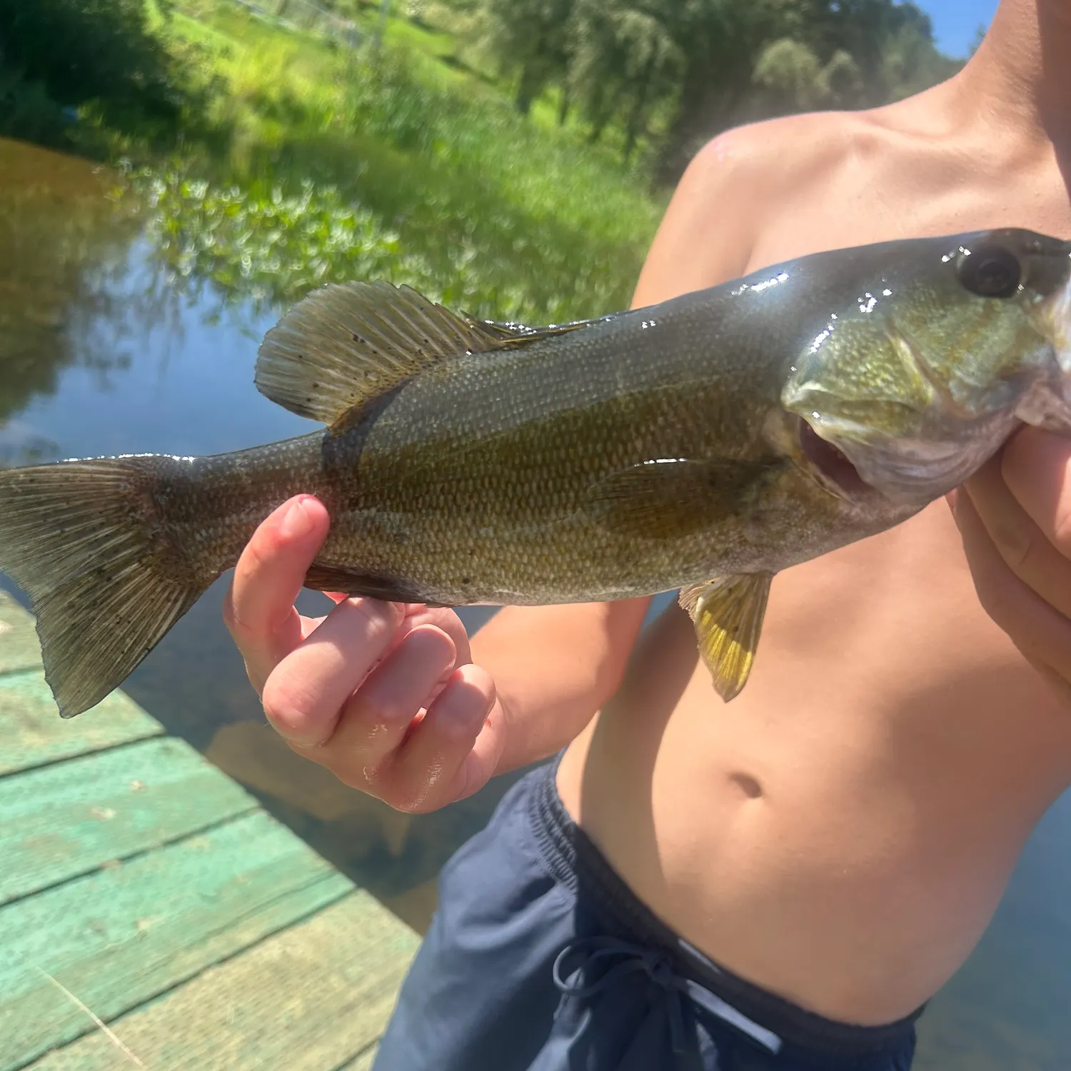 Smallmouth bass caught on Fishbrain