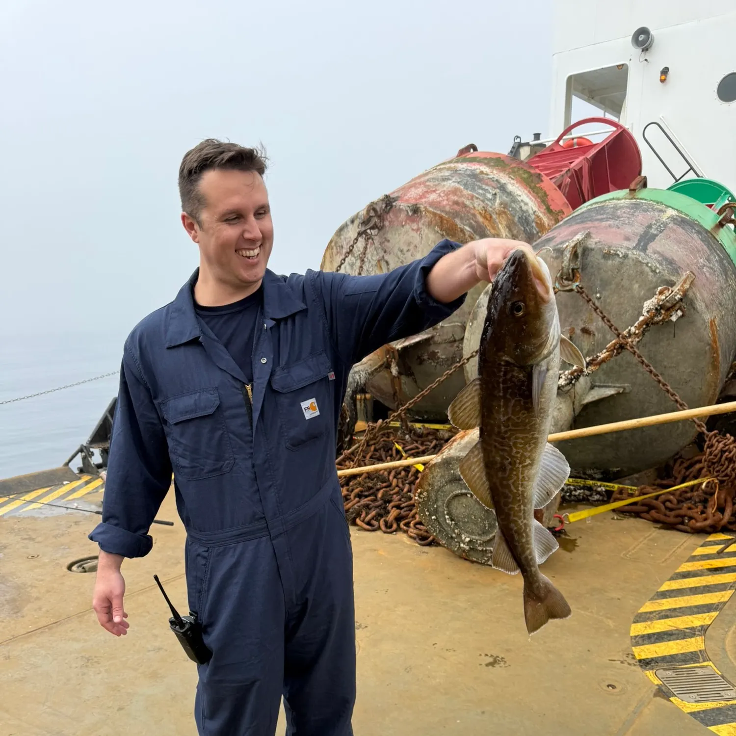 Pacific cod caught on Fishbrain