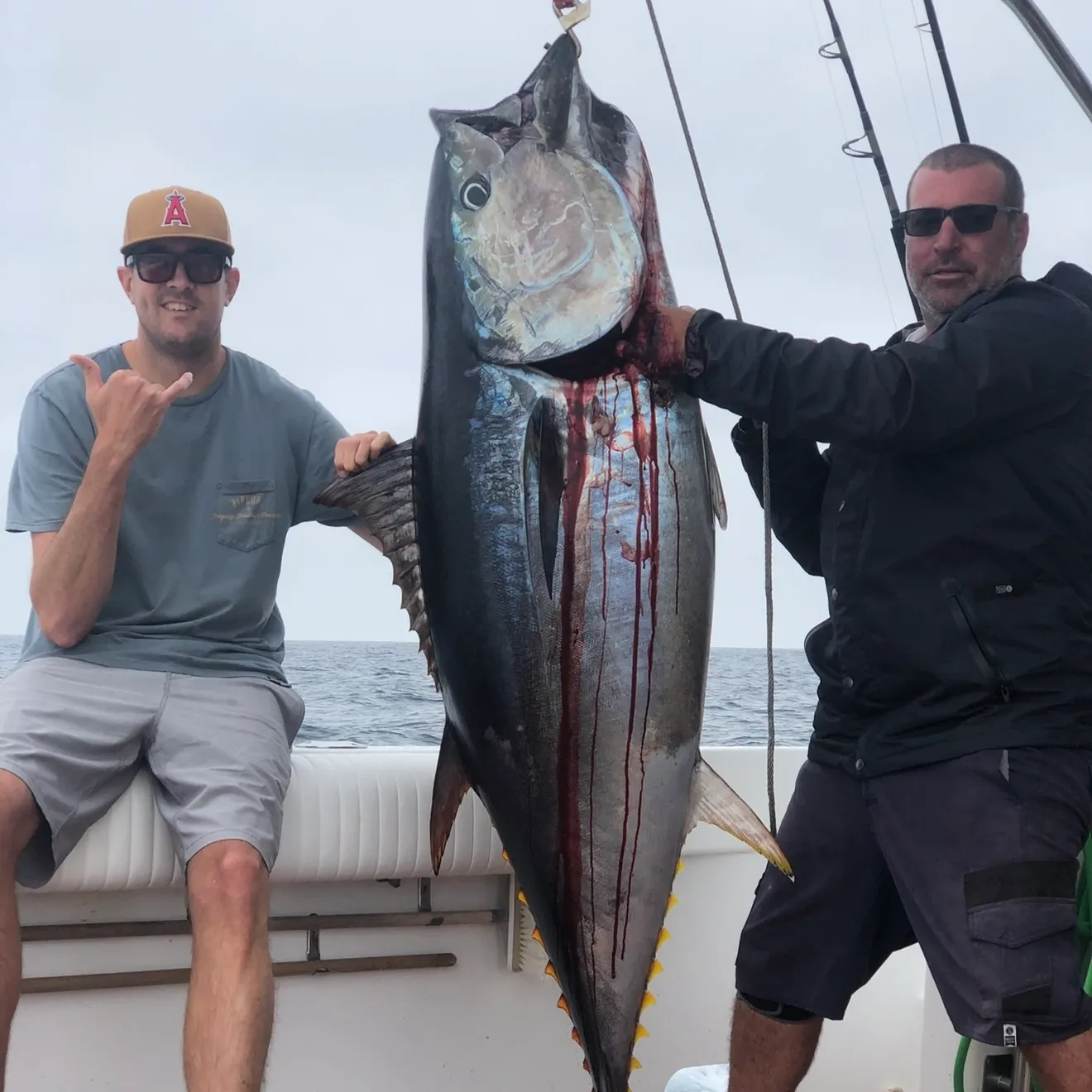 The most recent Pacific bluefin tuna catches on Fishbrain