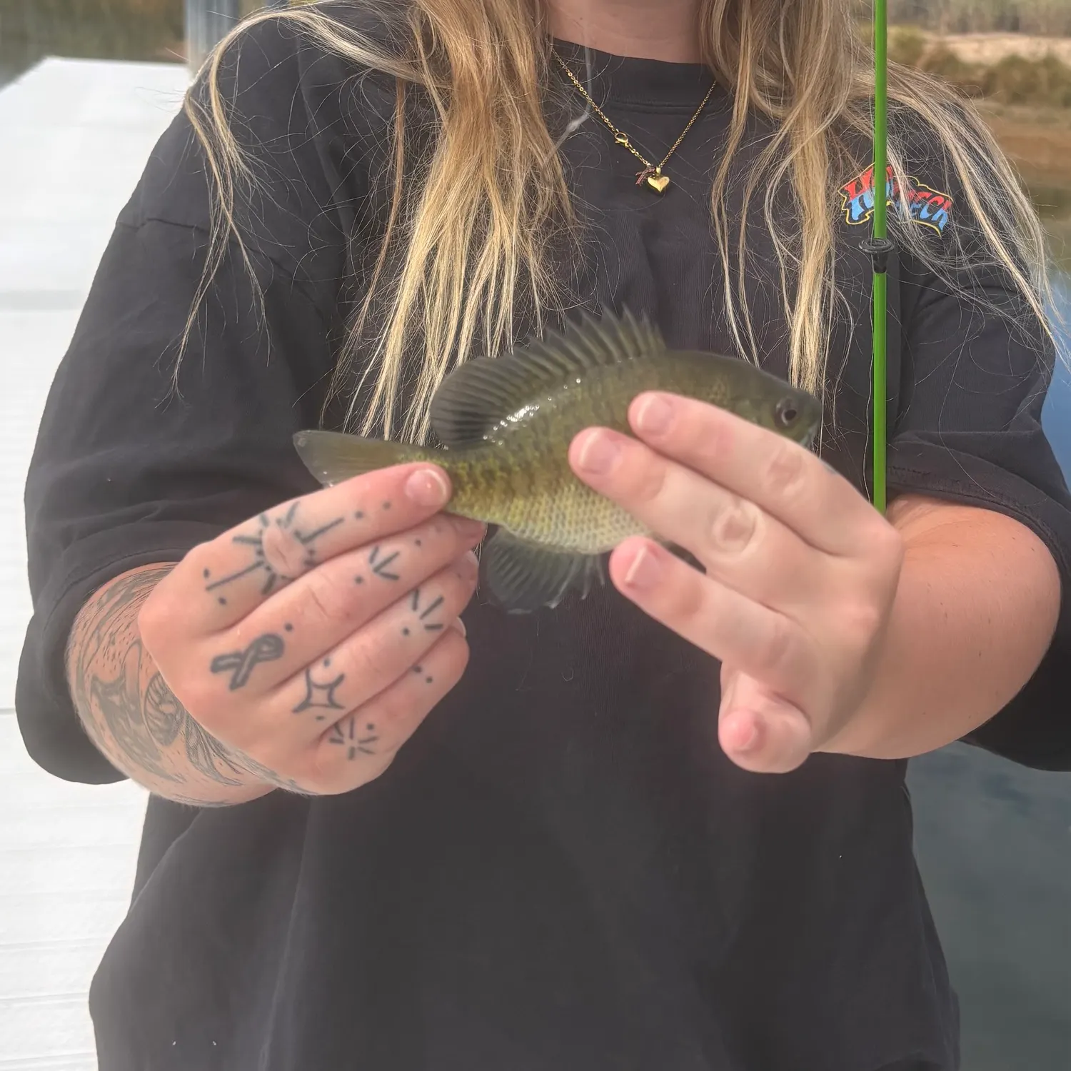 Bluegill caught on Fishbrain