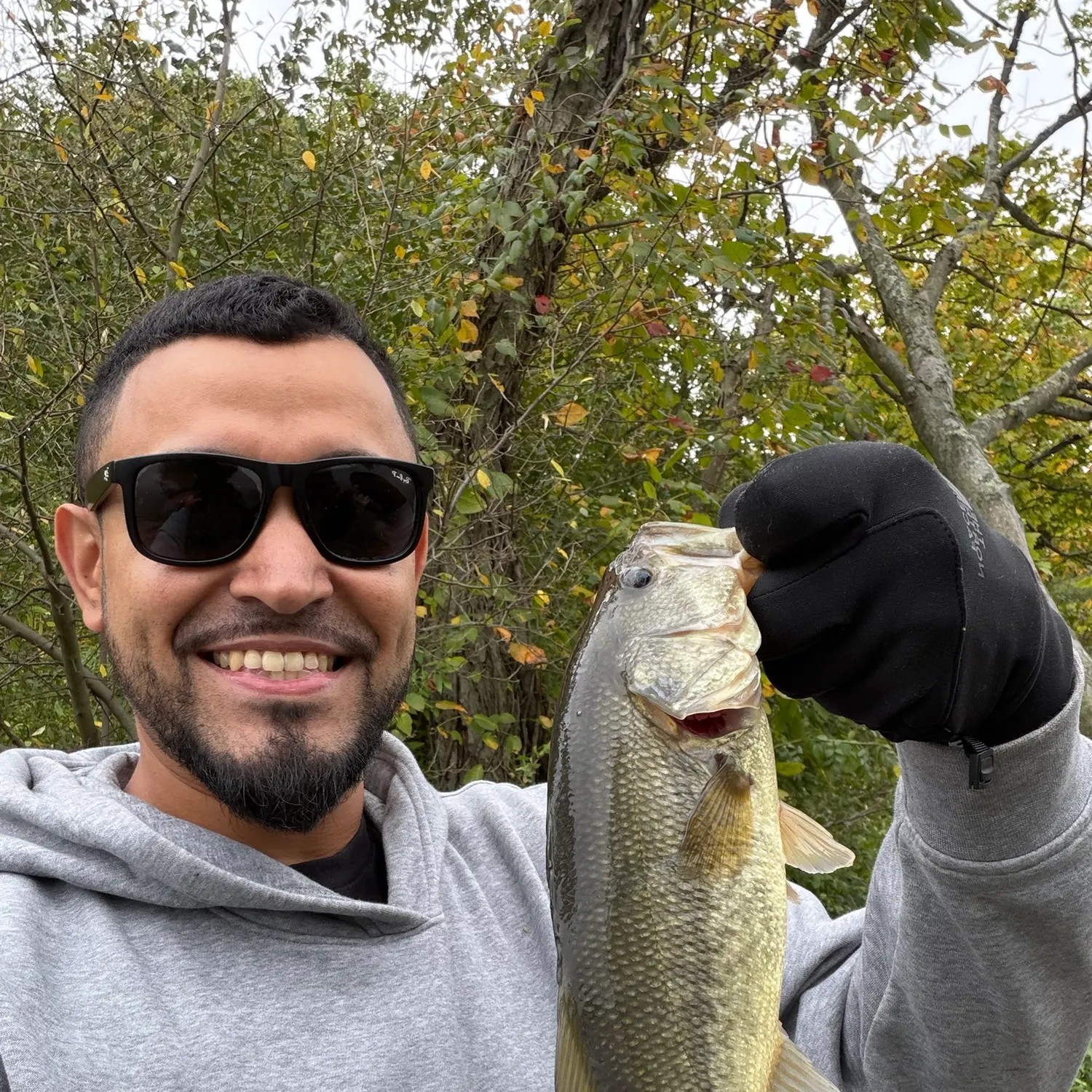 Largemouth bass caught on Fishbrain
