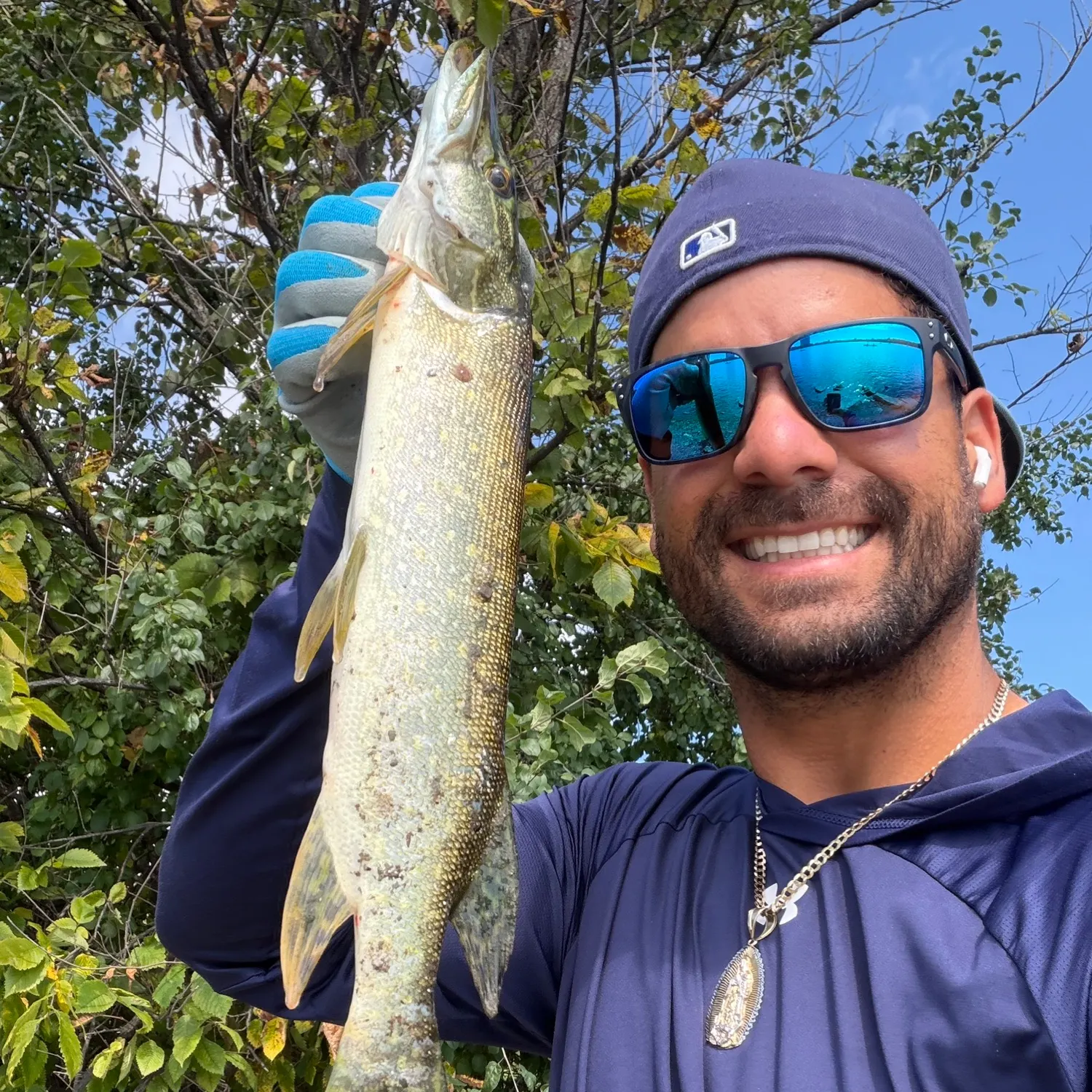 Northern pike caught on Fishbrain