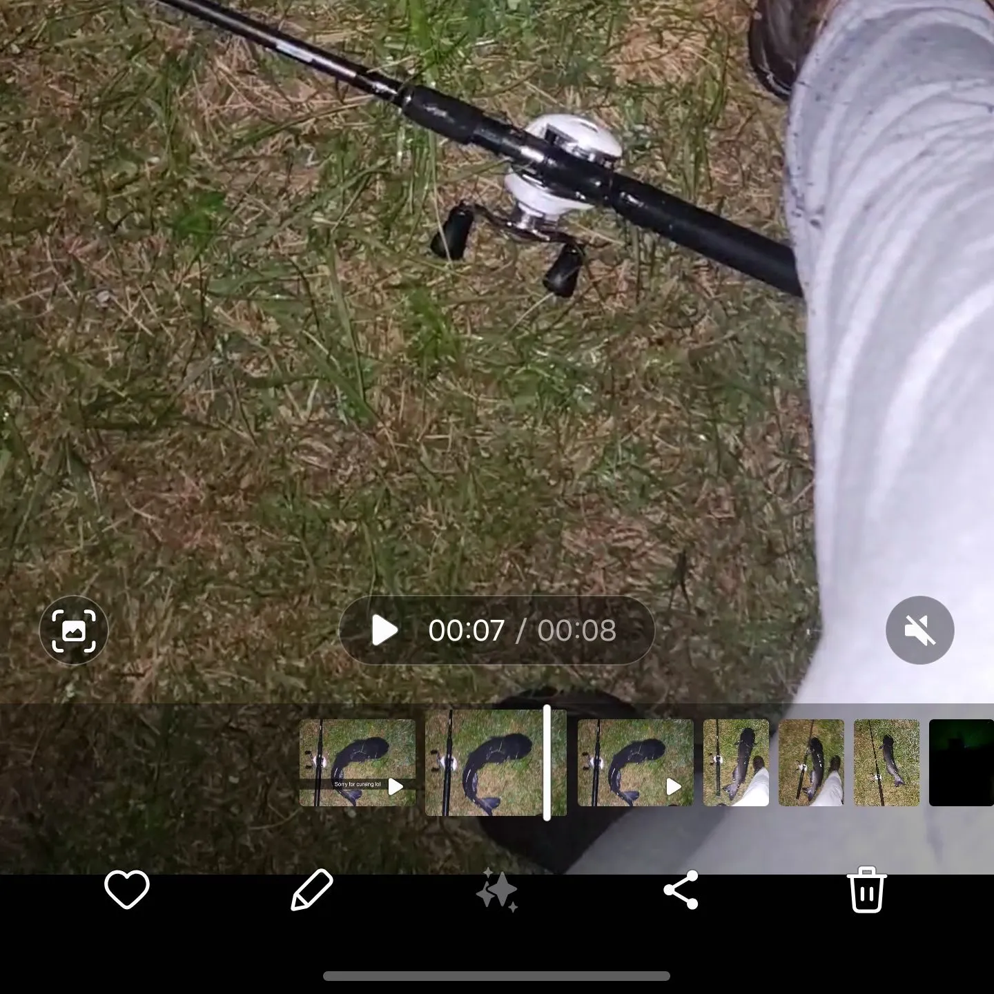 recently logged catches