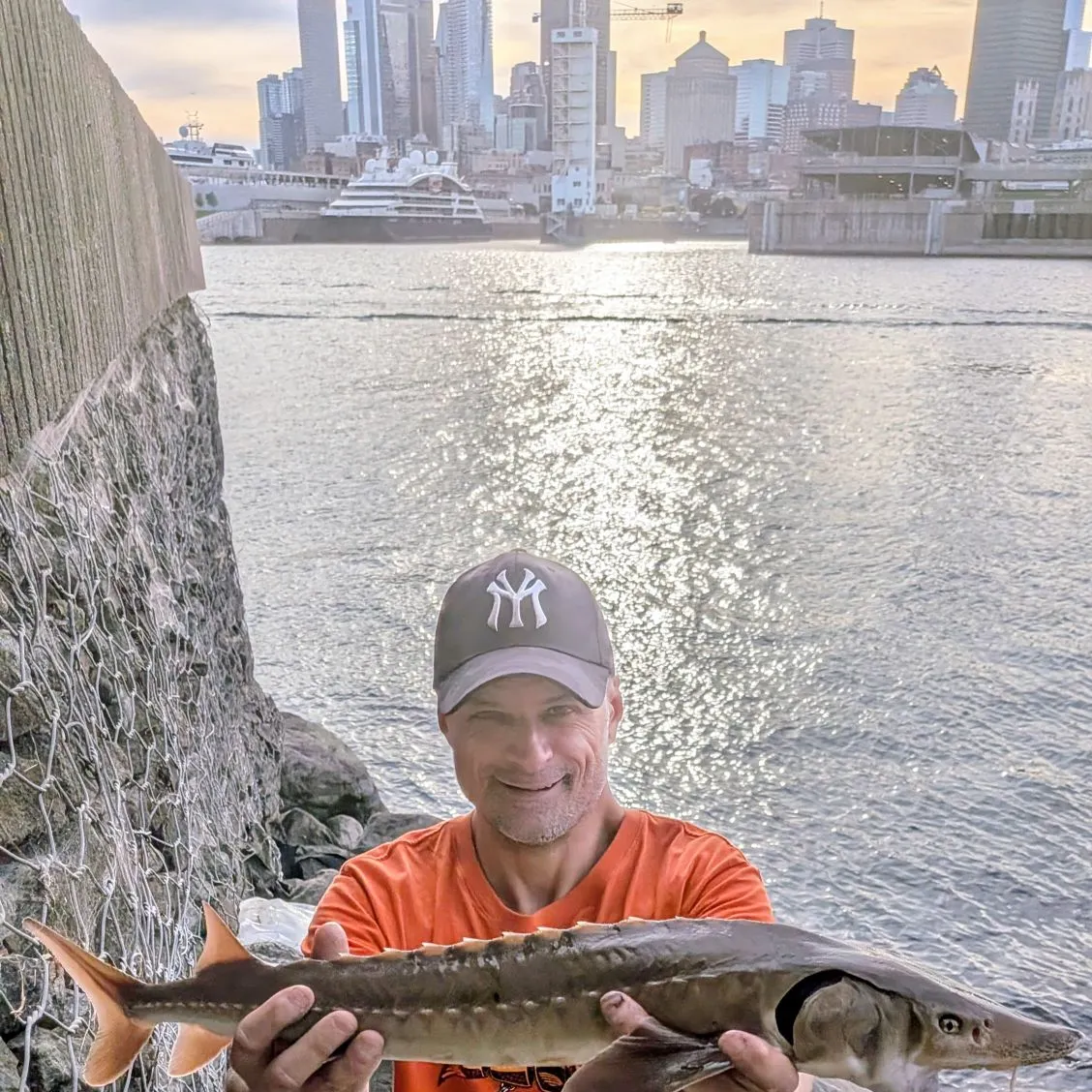 Lake sturgeon caught on Fishbrain