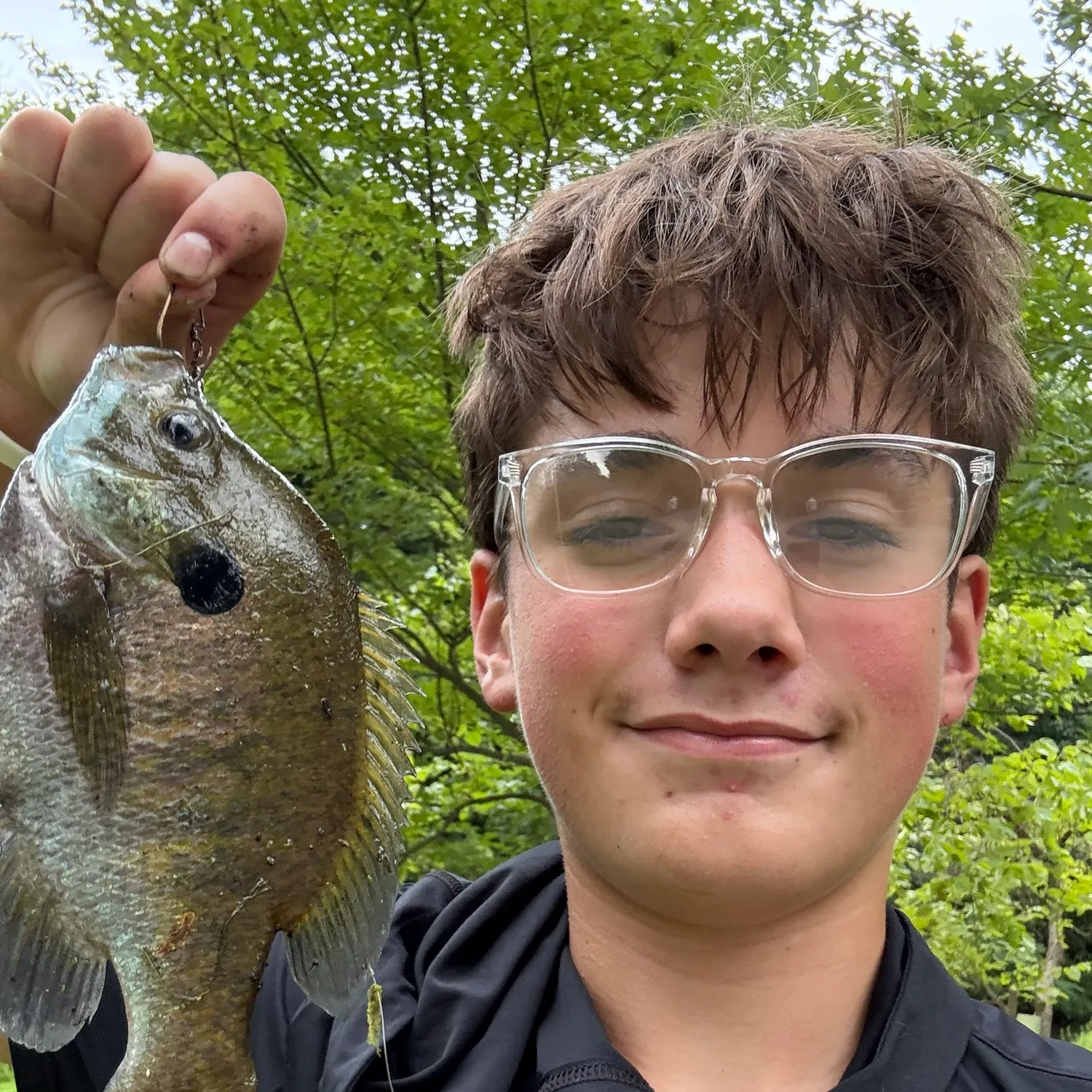 Bluegill caught on Fishbrain