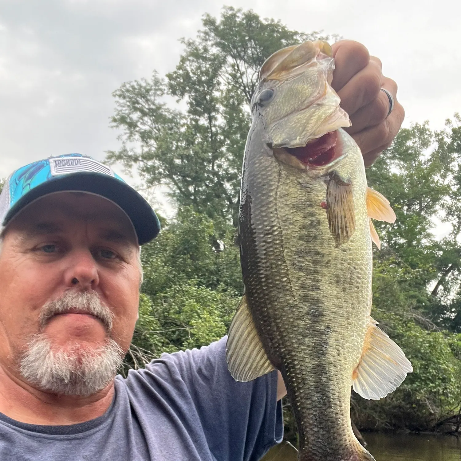 Largemouth bass caught on Fishbrain