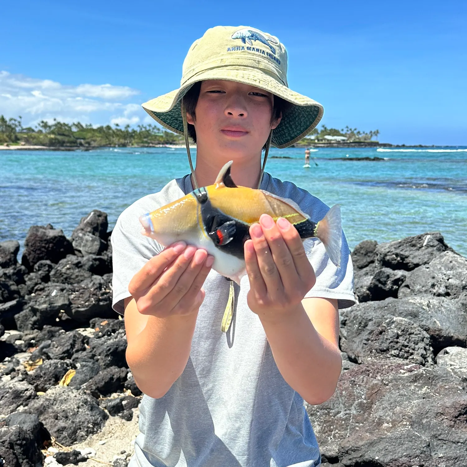 Wedge-tail triggerfish caught on Fishbrain