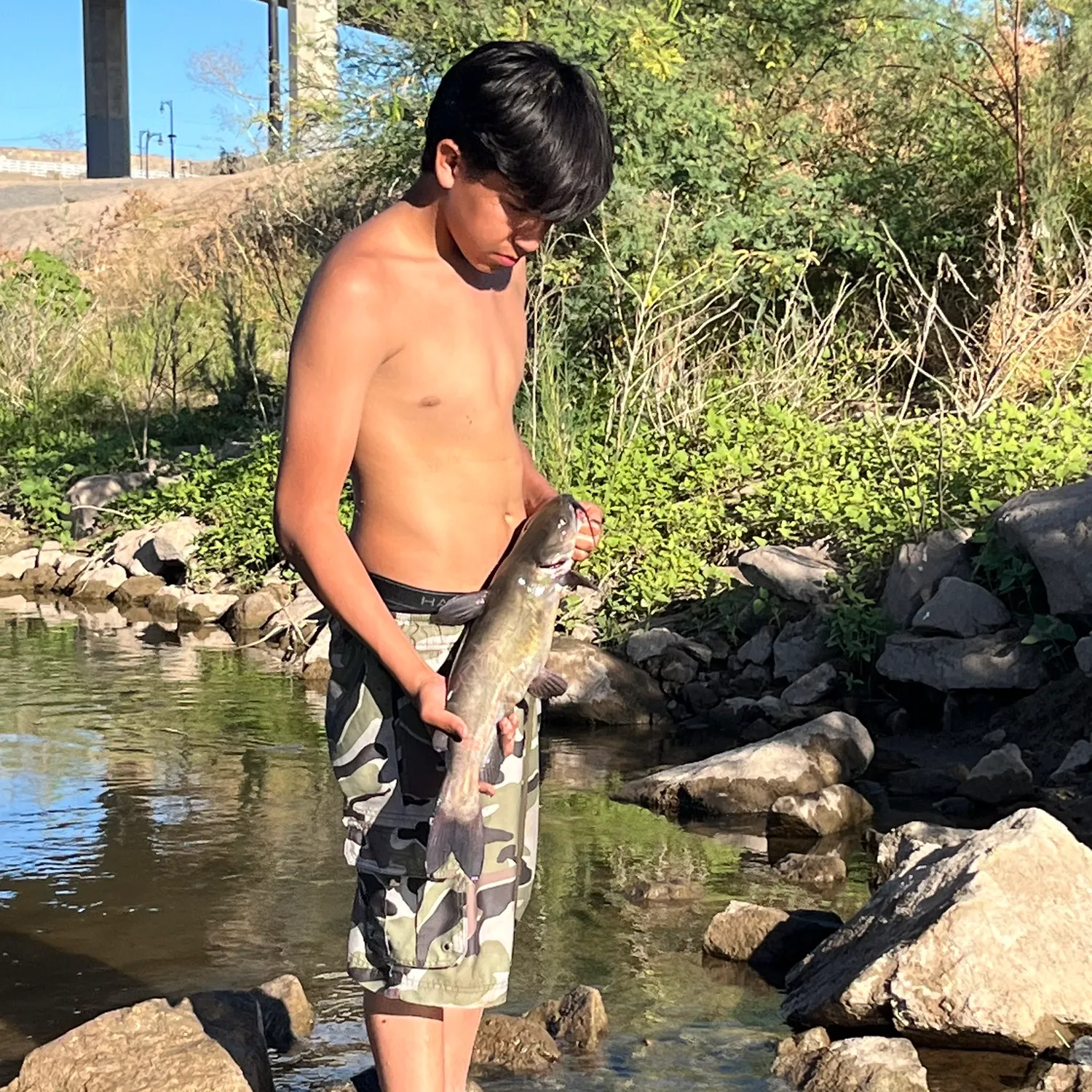 catch