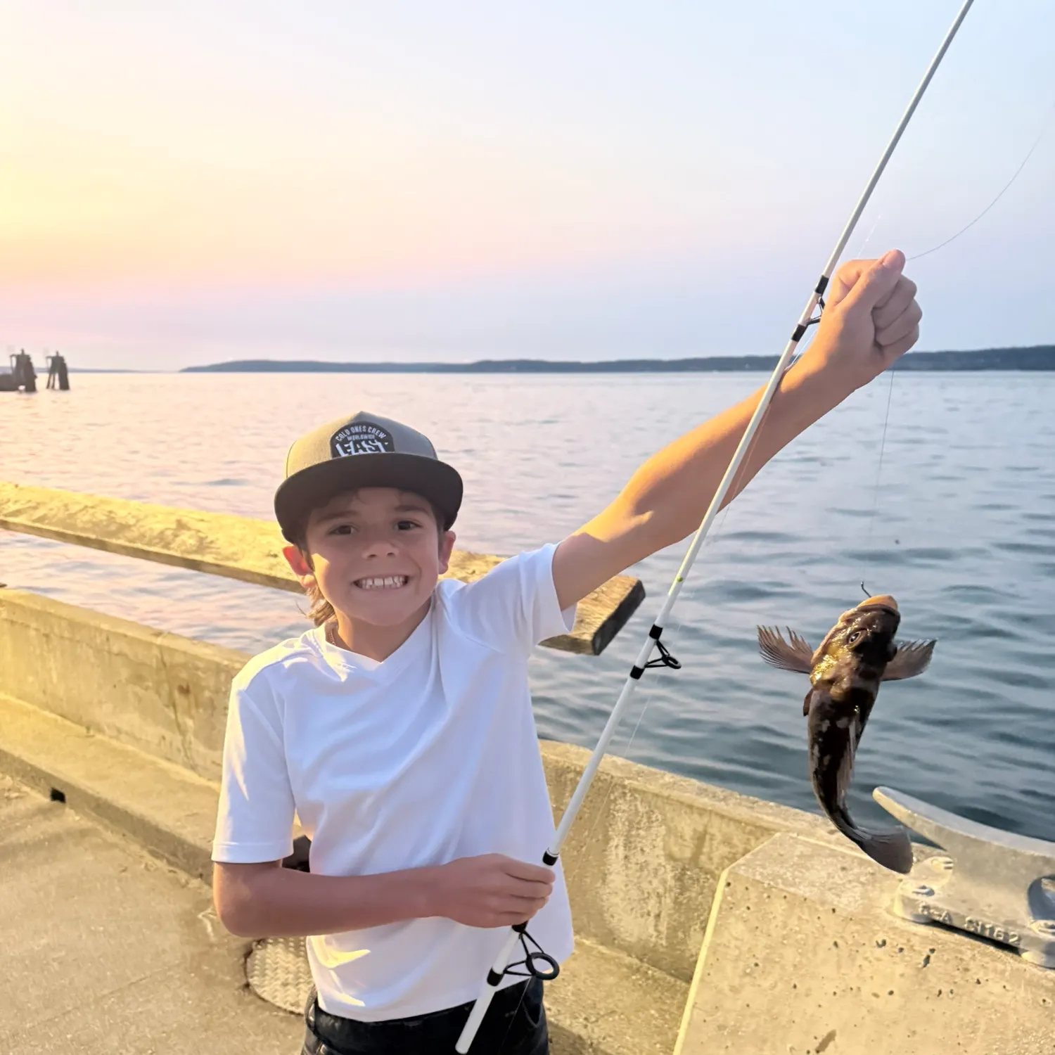 The most recent Brown rockfish catches on Fishbrain