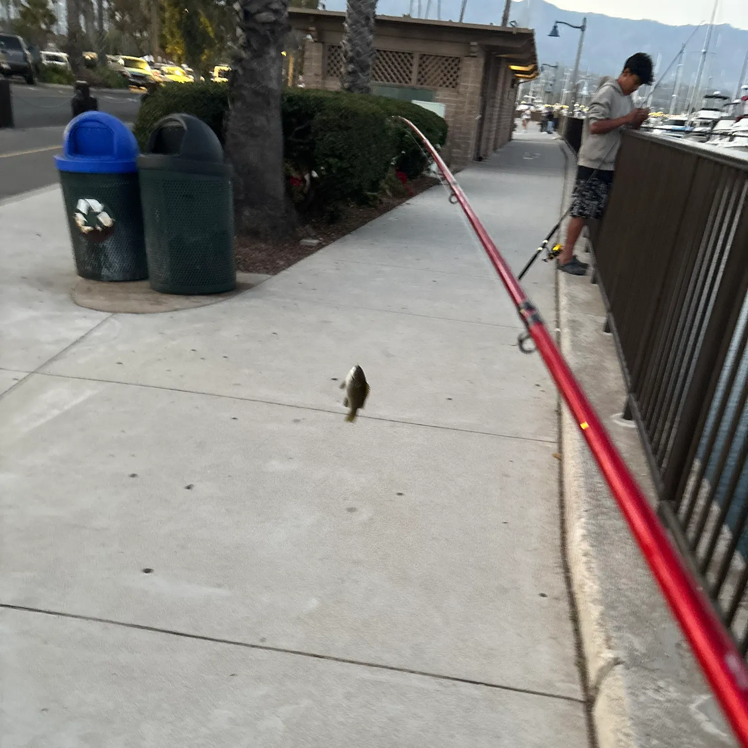 catch