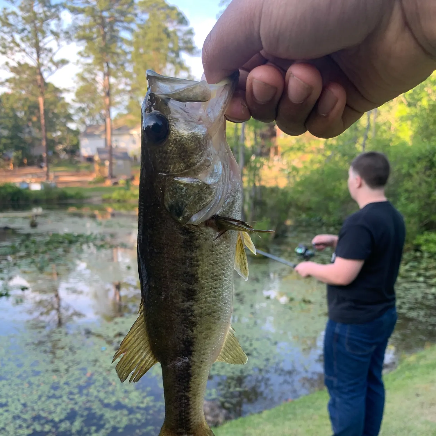 catch