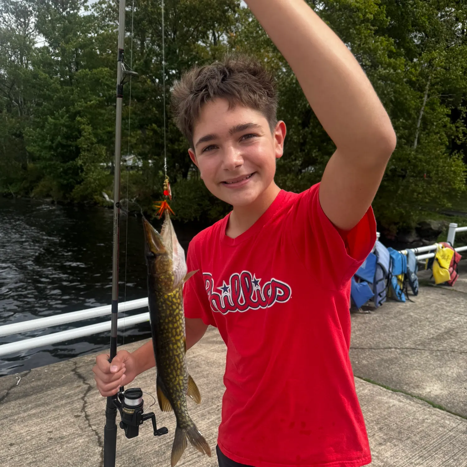Grass pickerel caught on Fishbrain