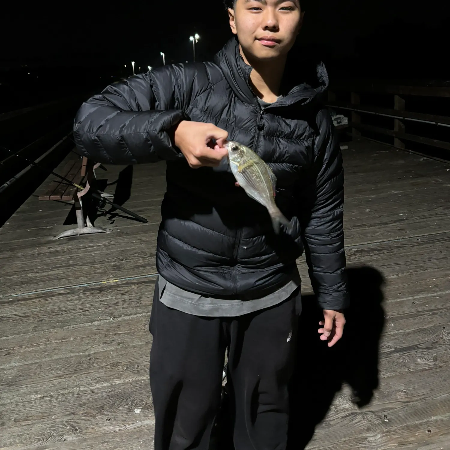 The most recent Pile perch catches on Fishbrain