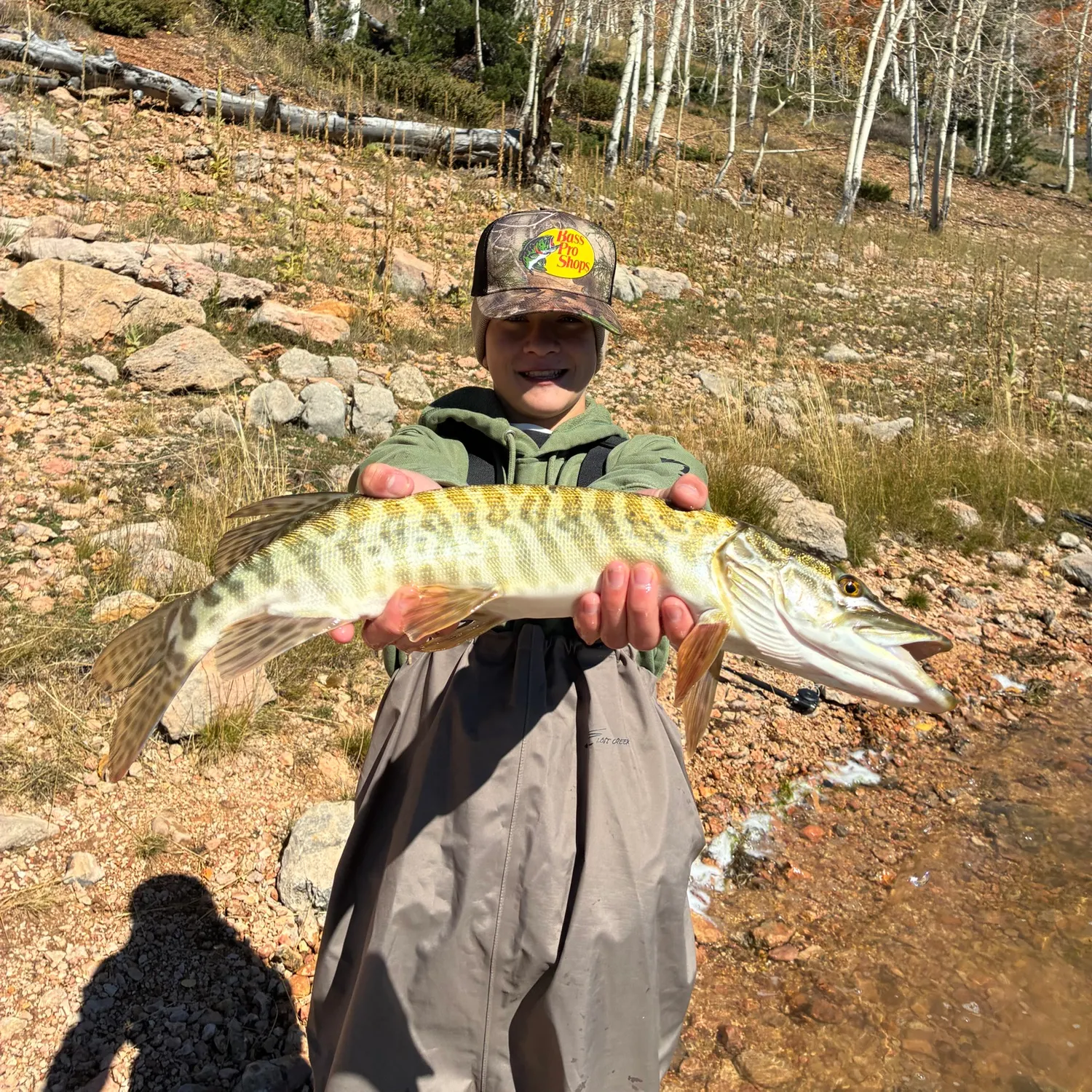 Fish caught on Fishbrain