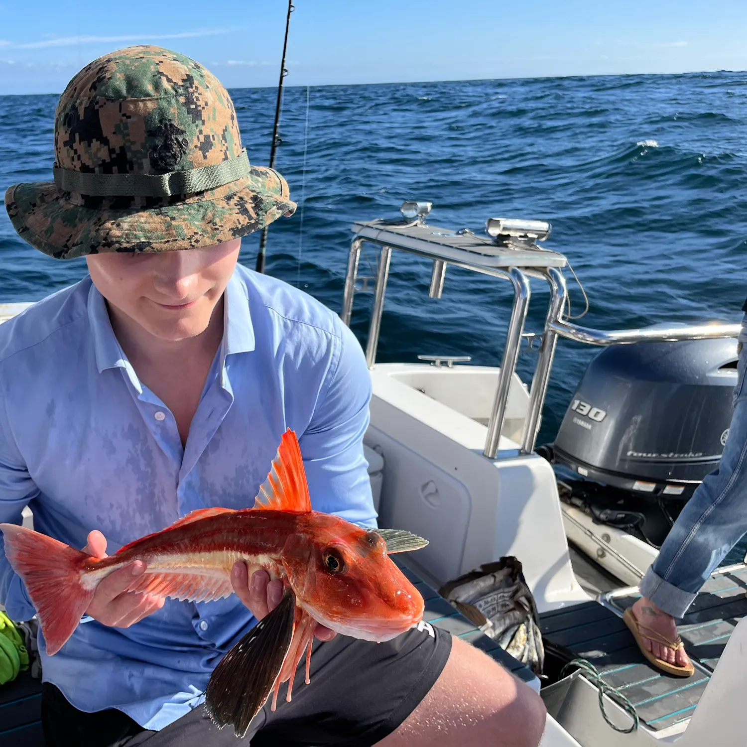 The most recent Cape Gurnard catches on Fishbrain