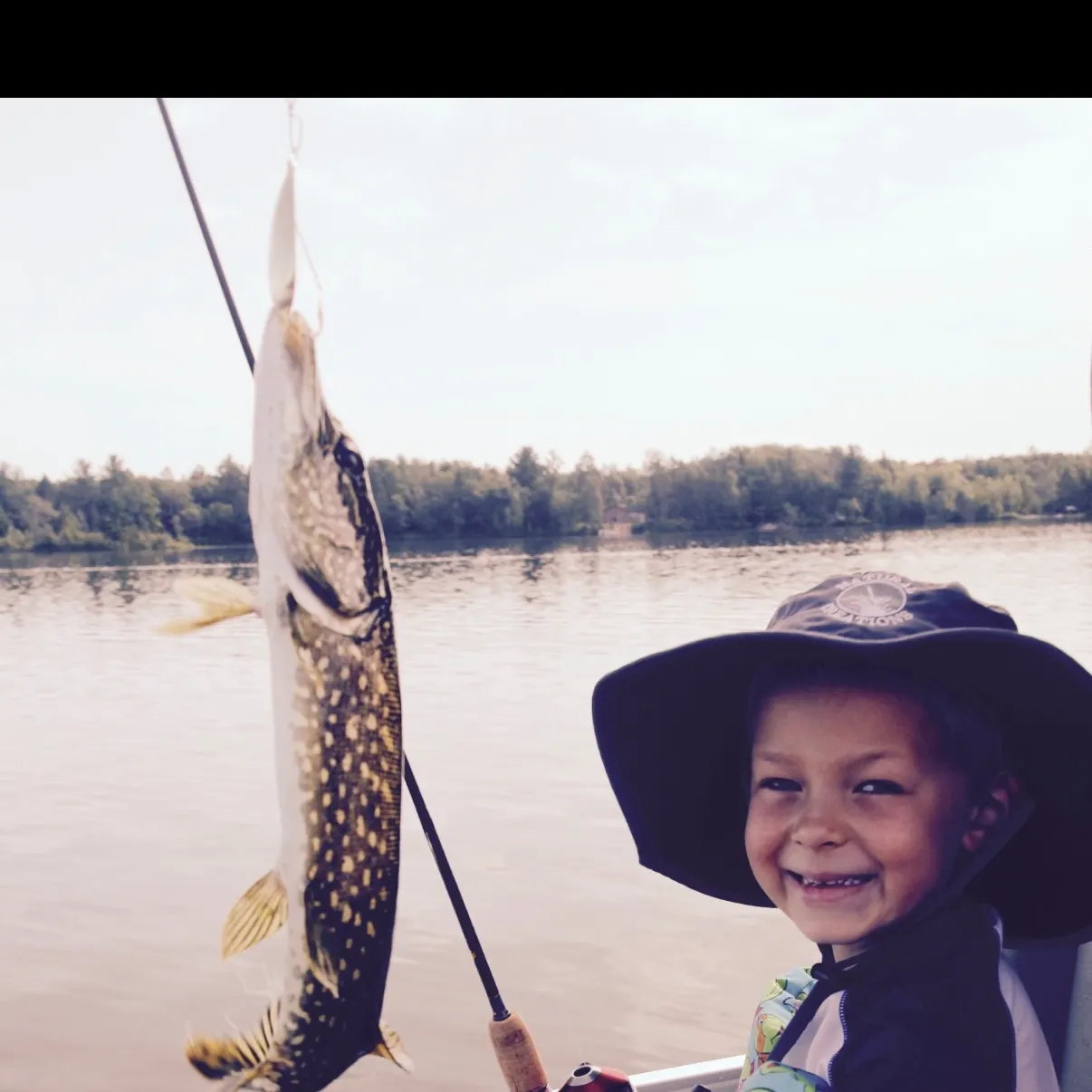 Northern pike caught on Fishbrain