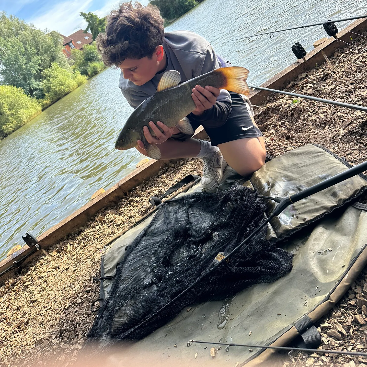 Tench caught on Fishbrain