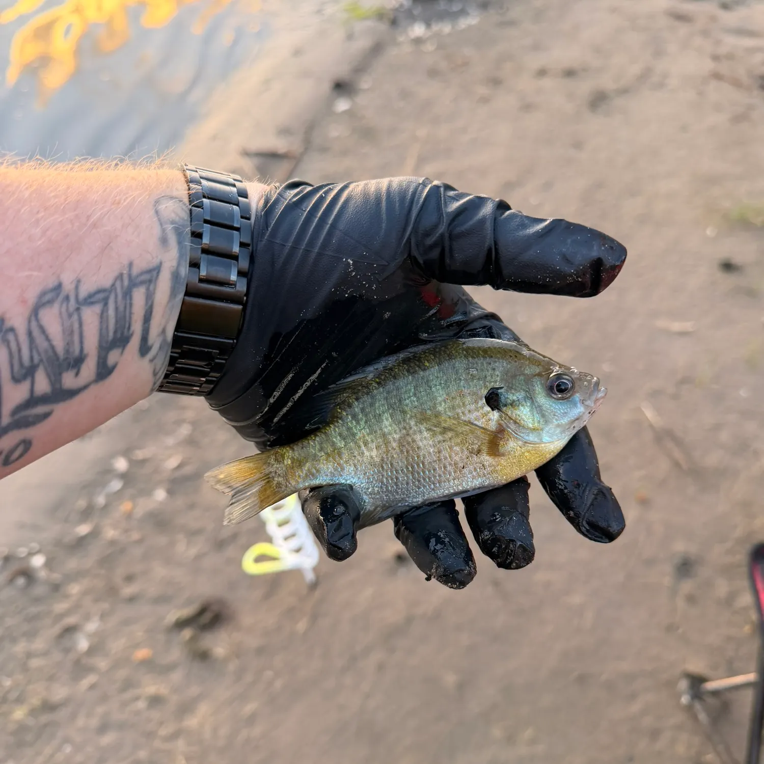 catch