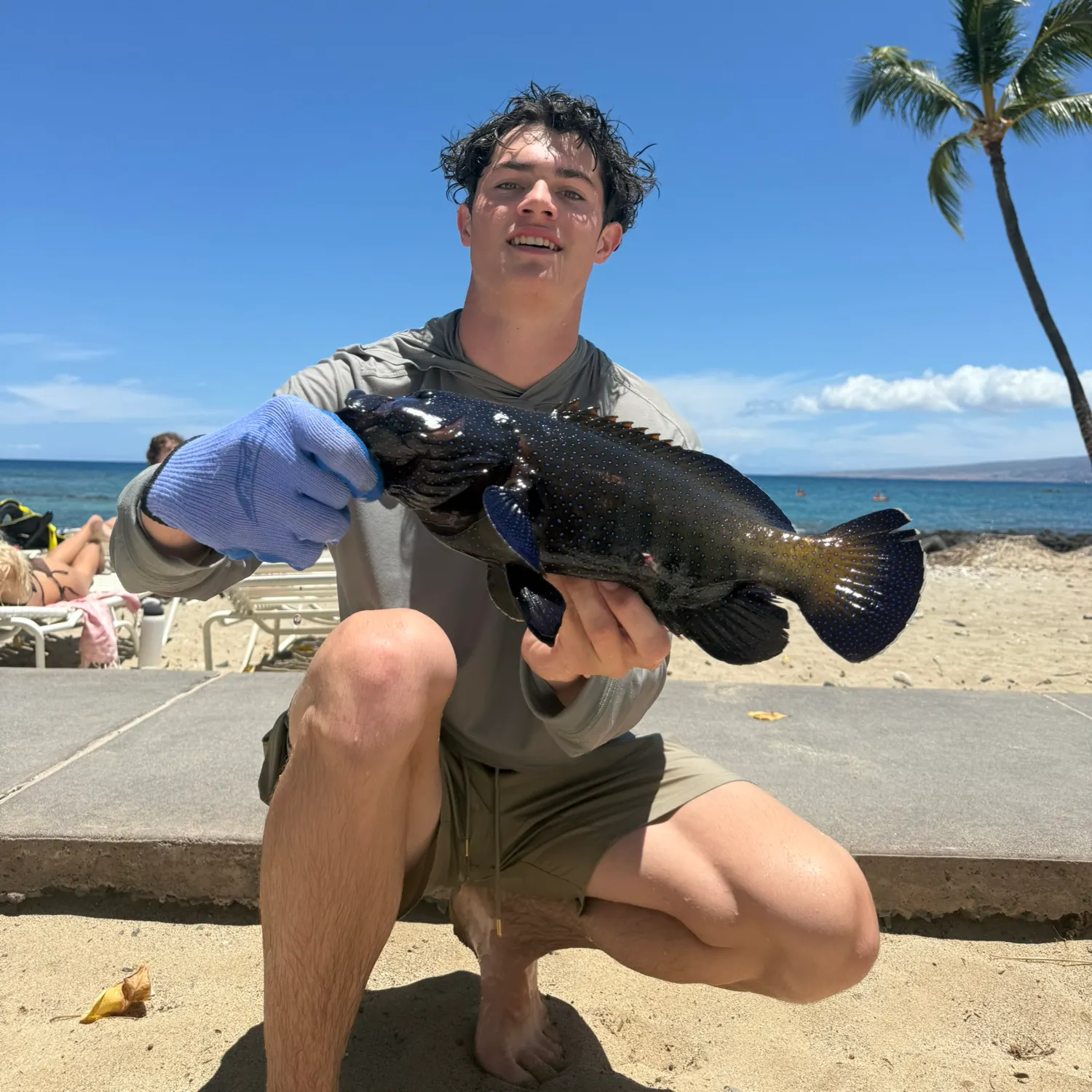 The most recent Peacock hind catches on Fishbrain