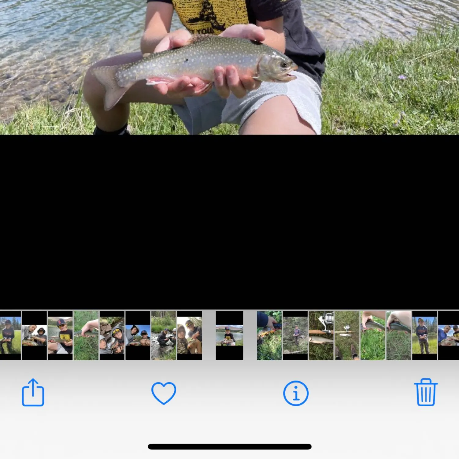 recently logged catches