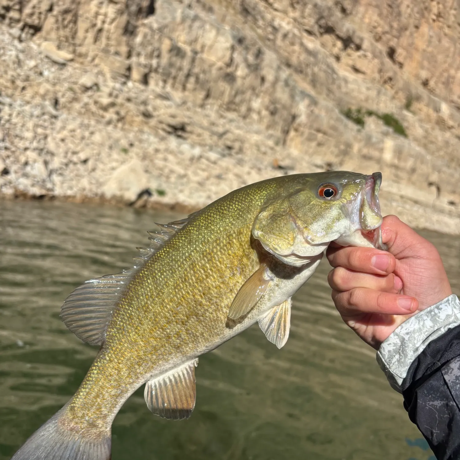 Smallmouth bass caught on Fishbrain