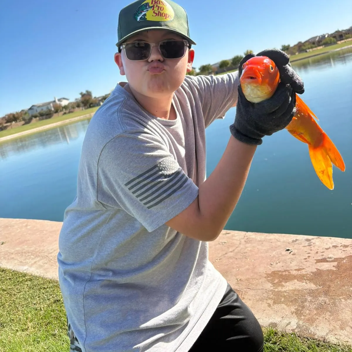 The most recent Koi carp catches on Fishbrain