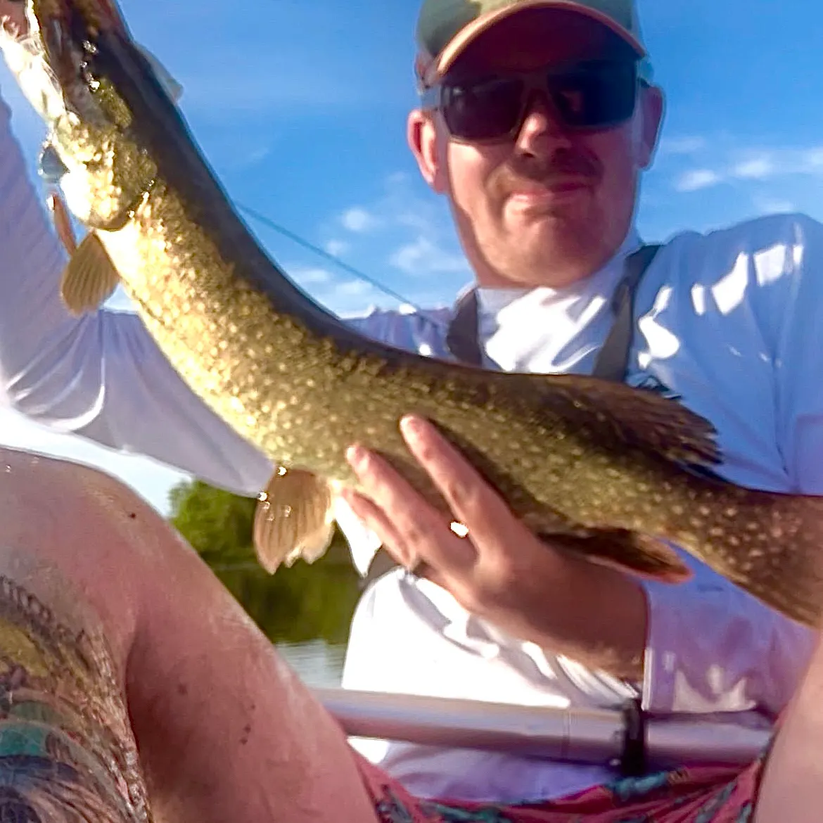Northern pike caught on Fishbrain