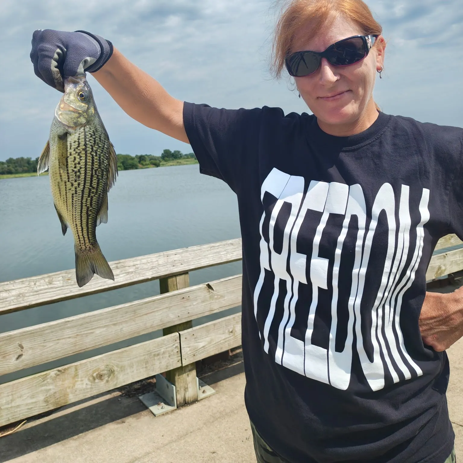 Black crappie caught on Fishbrain