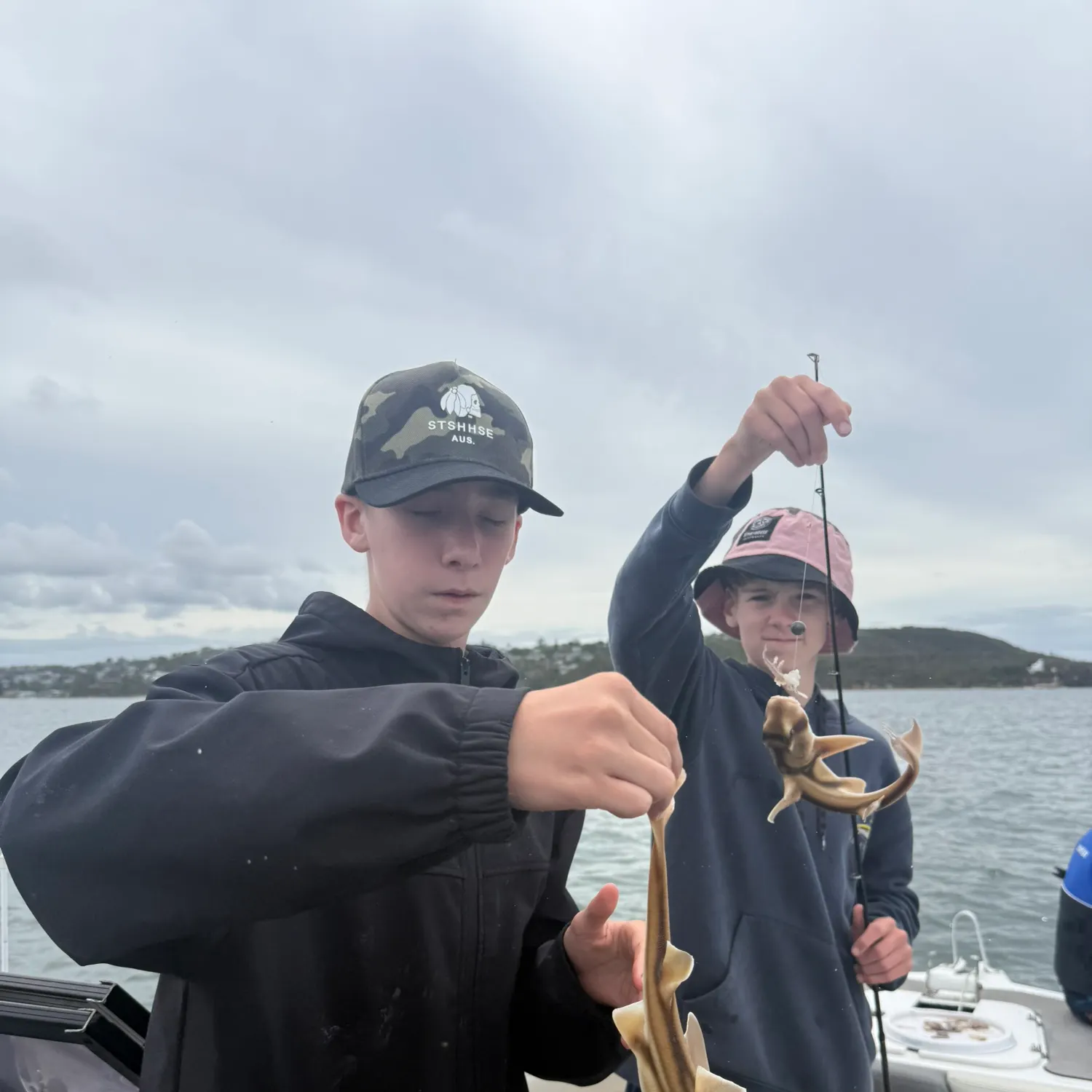 The most recent Port Jackson shark catches on Fishbrain