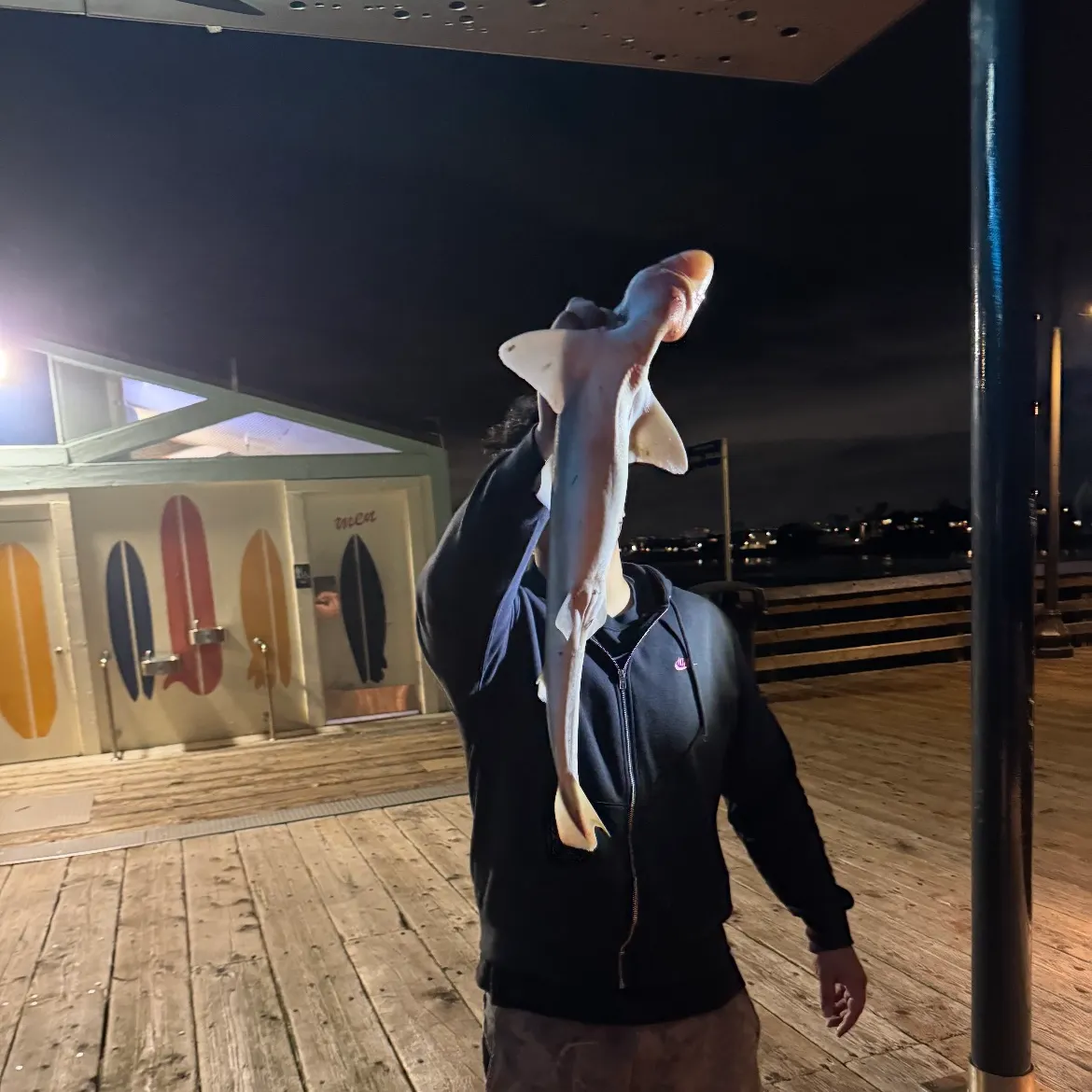 The most recent Pacific spiny dogfish catches on Fishbrain