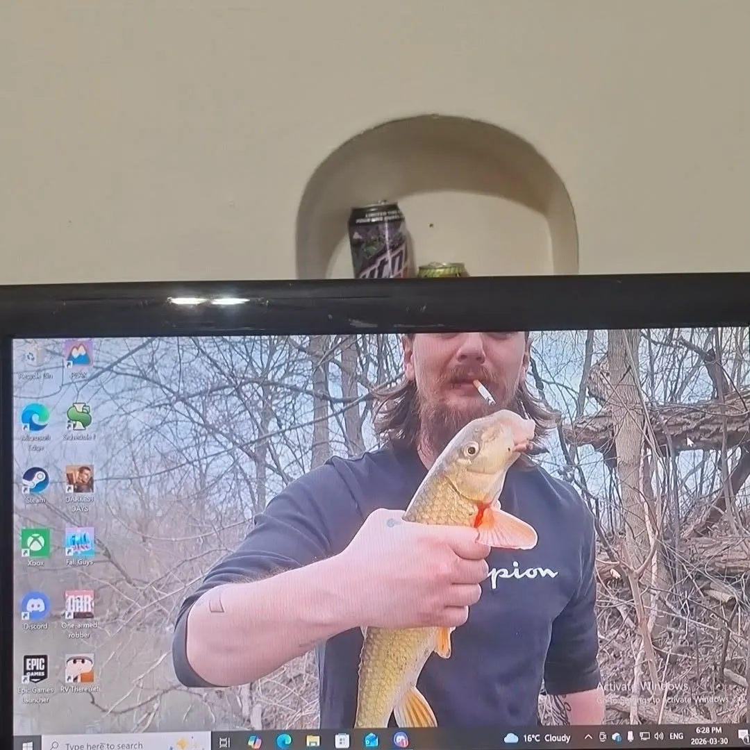 The most recent Golden redhorse catches on Fishbrain