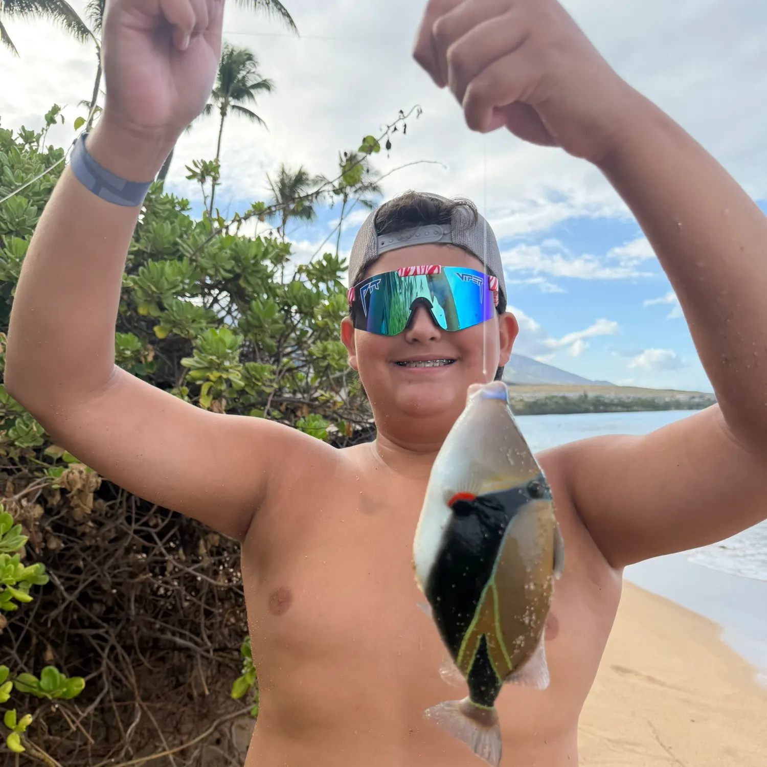 The most recent Wedge-tail triggerfish catches on Fishbrain