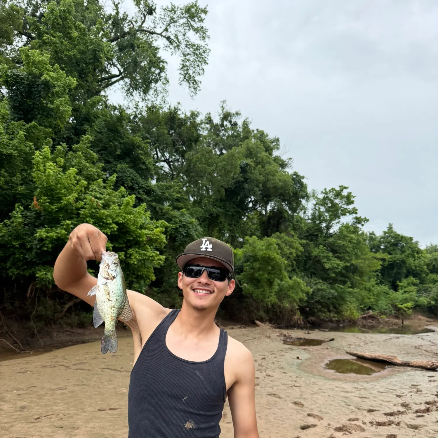 The most recent White crappie catches on Fishbrain