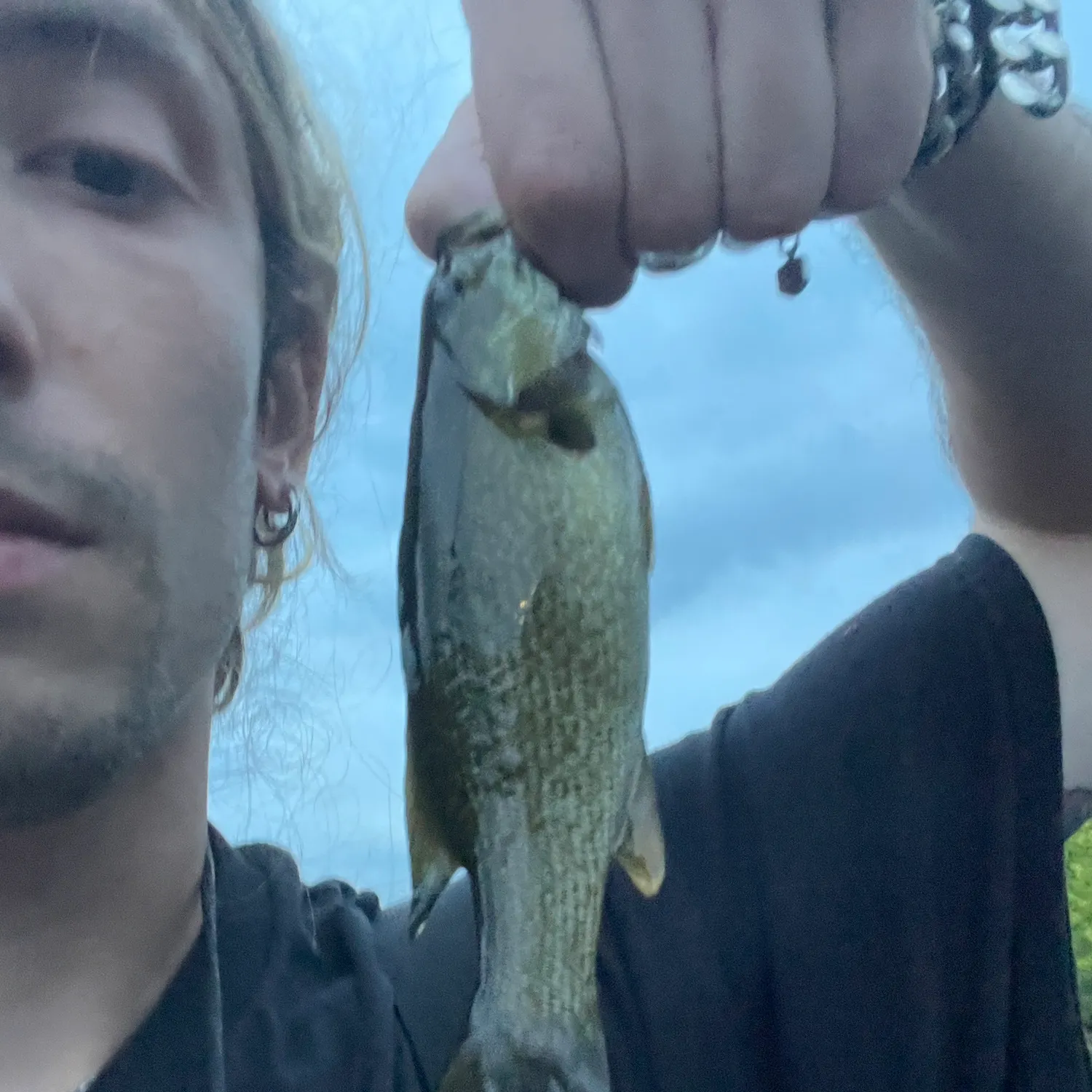 Smallmouth bass caught on Fishbrain