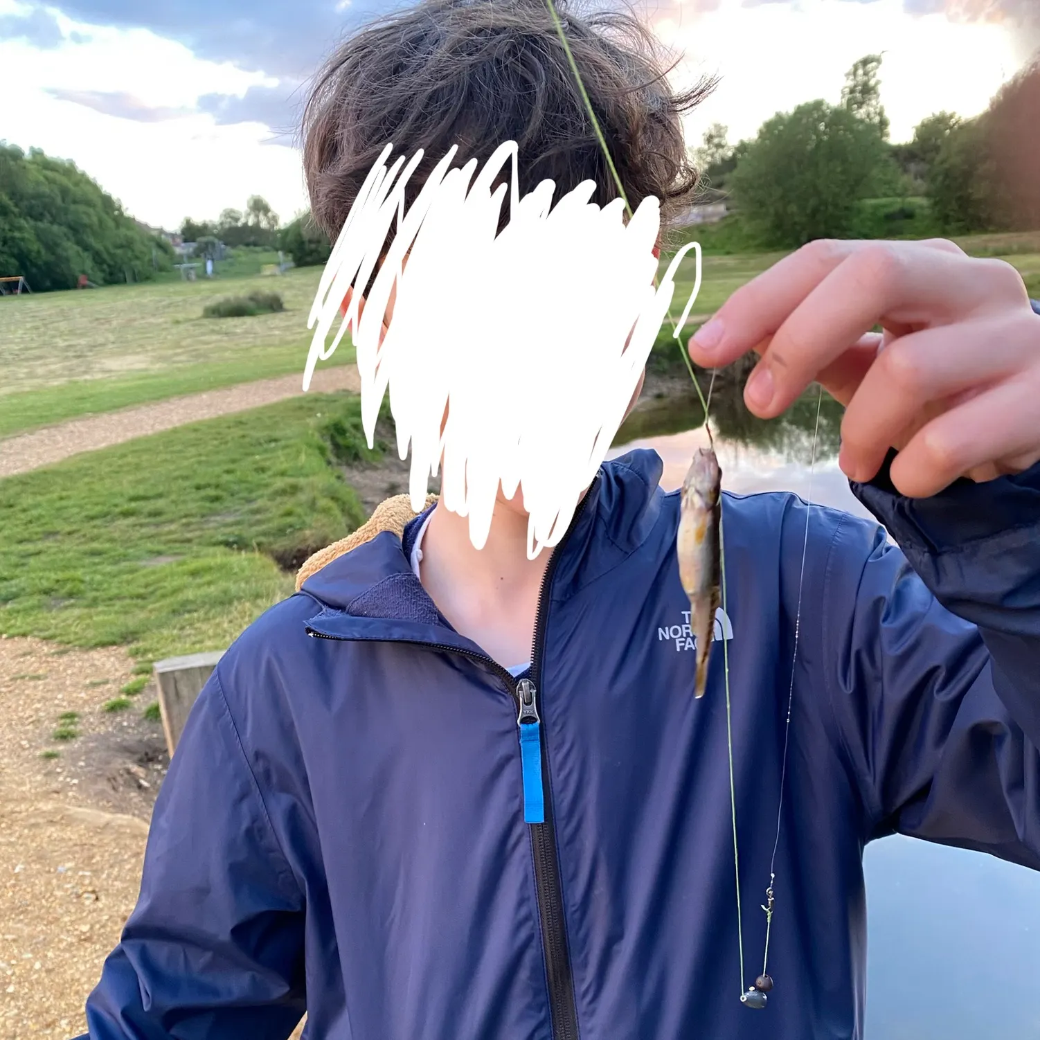 The most recent Umpqua pikeminnow catches on Fishbrain