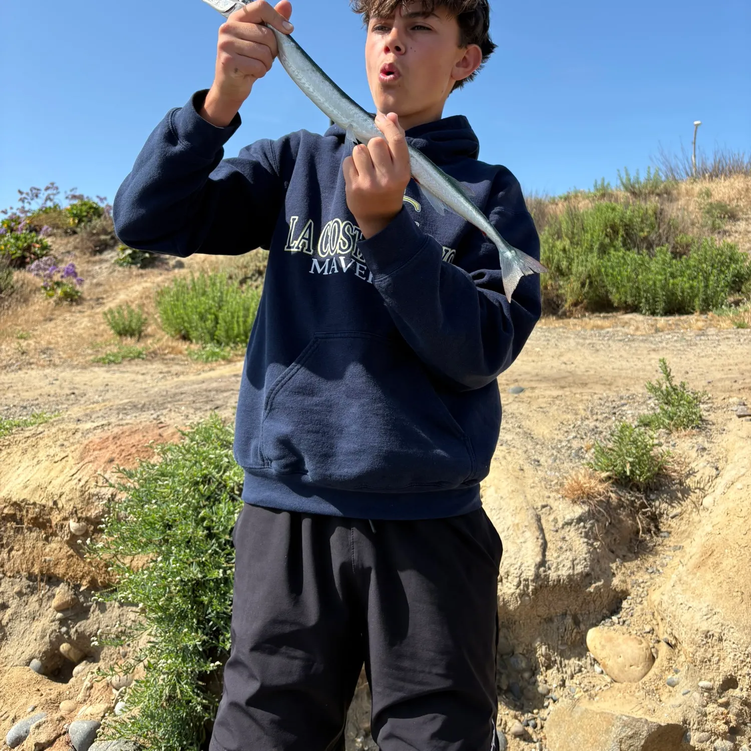 The most recent California needlefish catches on Fishbrain
