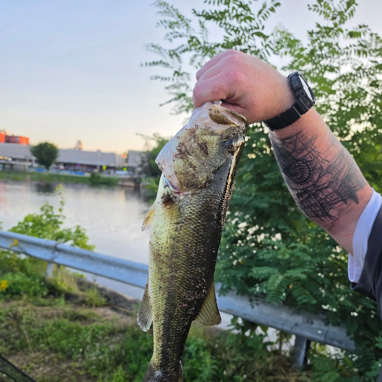 catch
