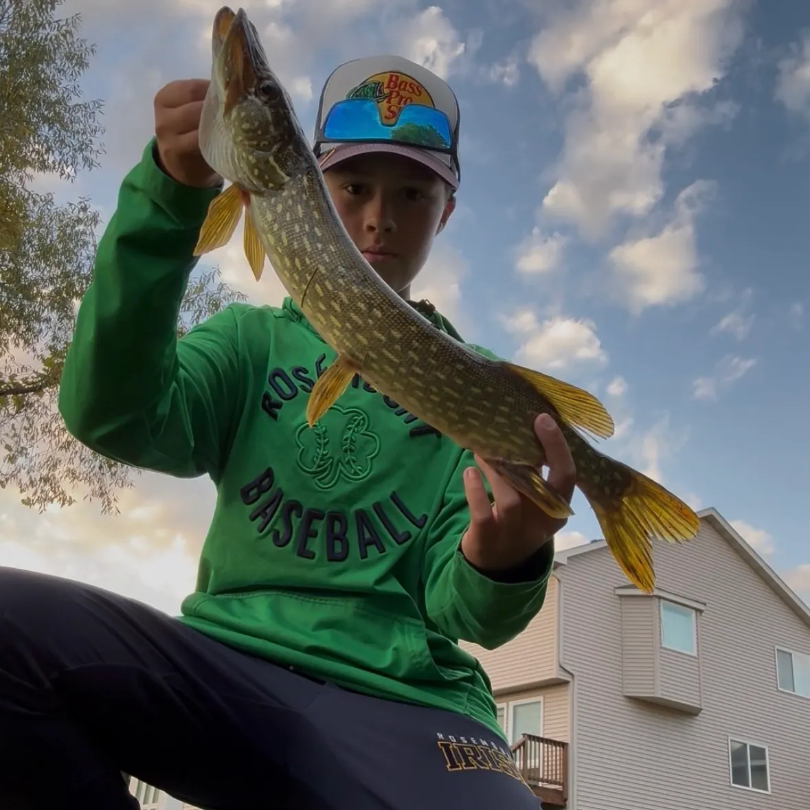 Northern pike caught on Fishbrain