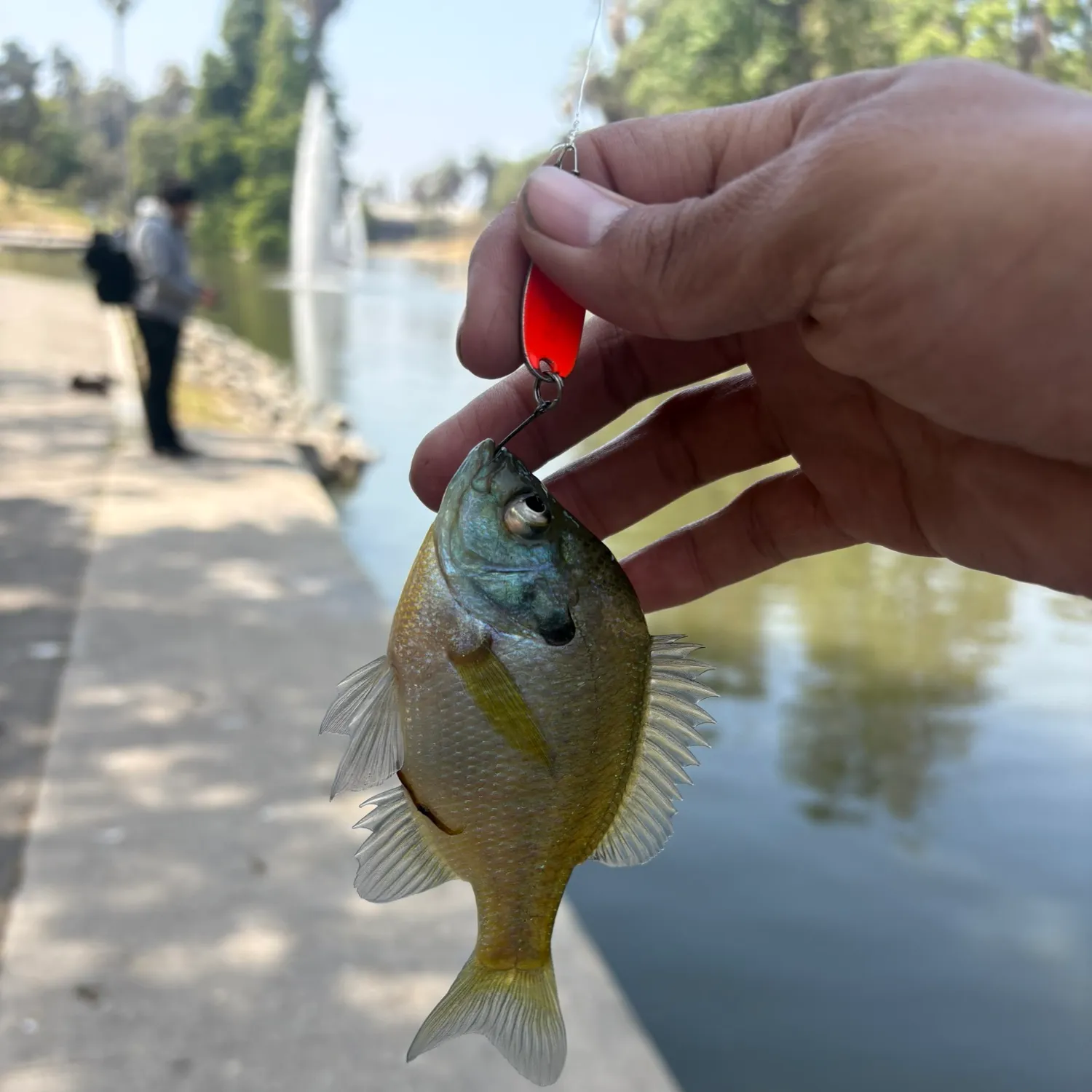 catch