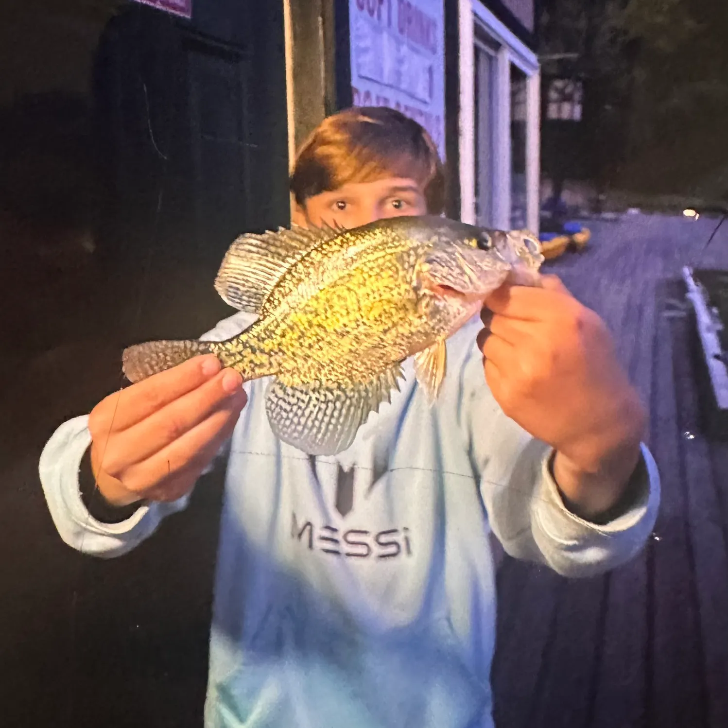 Black crappie caught on Fishbrain