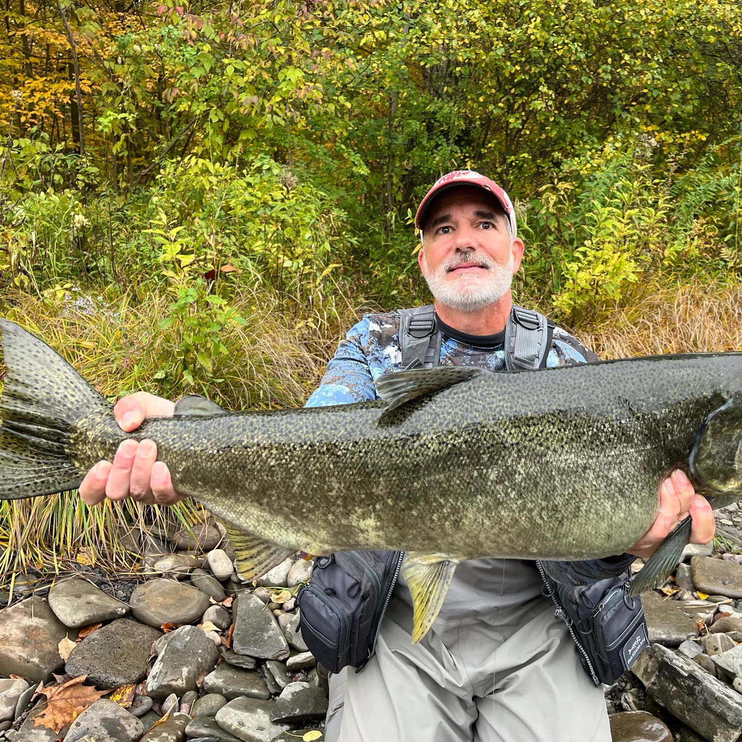 Chinook salmon caught on Fishbrain