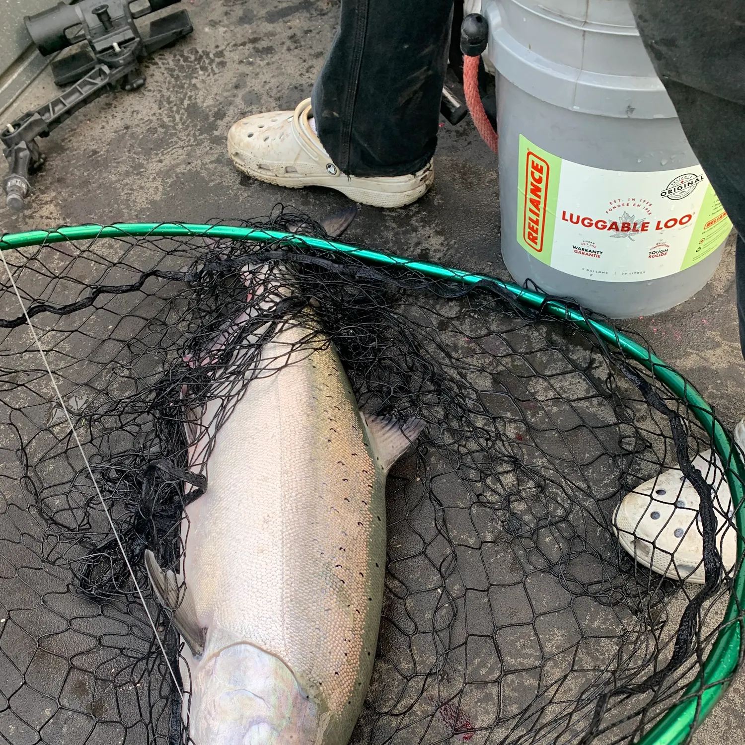 catch